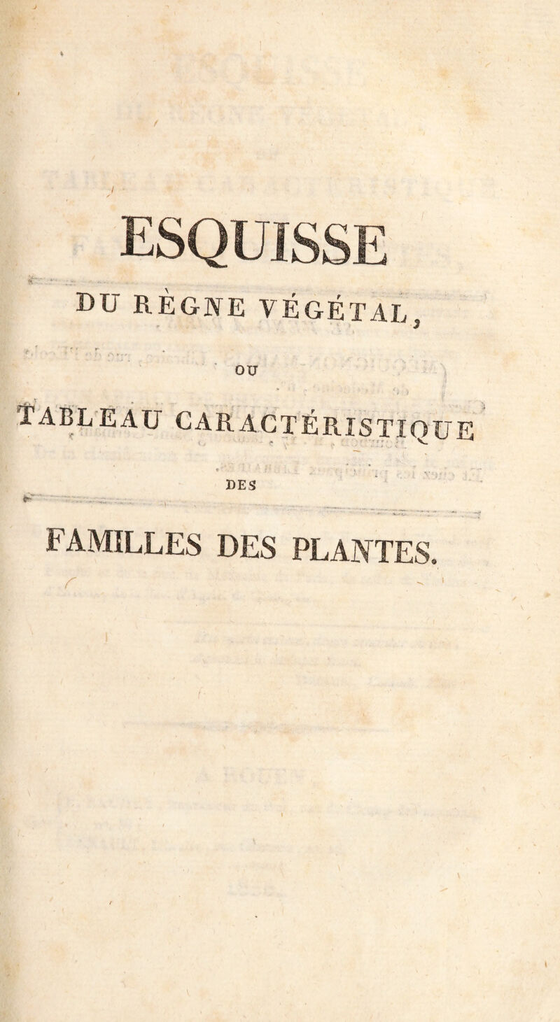 / esquisse DU RÈGNE VÉGÉTAL Jl OU Tableau caractéristique des FAMILLES DES PLANTES. r