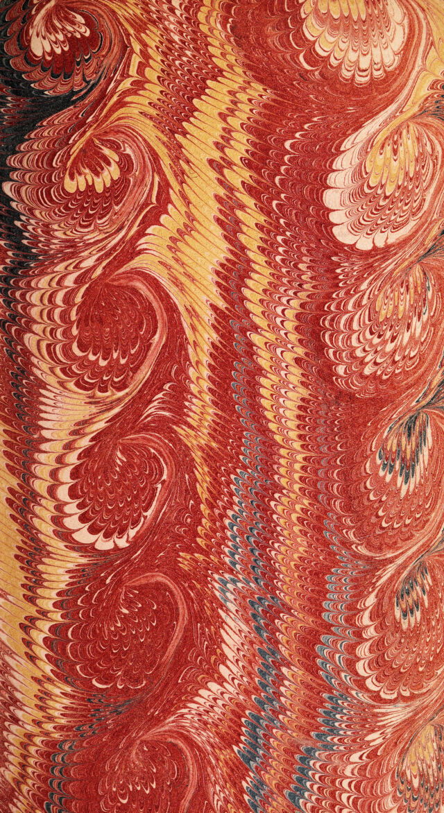 No text description is available for this image