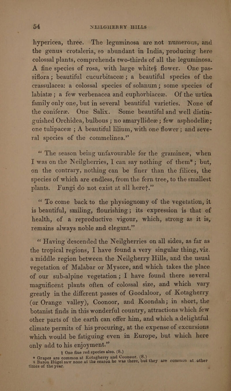hypericea, three. The leguminosa are not numerous, and the genus crotaleria, so abundant in India, producing here colossal plants, comprehends two-thirds of all the leguminosa. A fine species of rosa, with large white§ flower. One pas- siflora ; beautiful cucurbitacez ; a beautiful species of the crassulacea: a colossal species of solanum; some species of labiate ; a few verbenacea and euphorbiacee. Of the urtica family only one, but in several beautiful varieties. None of the conifere. One Salix. Some beautiful and well distin- guished Orchidea, bulbous ; no amaryllidee ; few asphodelie; one tulipacee ; A beautiful lilium, with one flower ; and seye- ral species of the commelinea.” “The season being unfavourable for the graminee, when I was on the Neilgherries, I can say nothing of them*; but, on the contrary, nothing can be finer than the filices, the species of which are endless, from the fern tree, to the smallest plants. Fungi do not exist at all heret.” * To come back to the physiognomy of the vegetation, it is beautiful, smiling, flourishing; its expression is that of health, of a reproductive vigour, which, strong as it is, remains always noble and elegant.” “‘ Having descended the Neilgherries on all sides, as far as the tropical regions, I have found a very singular thing, viz. a middle region between the Neilgherry Hills, and the usual vegetation of Malabar or Mysore, and which takes the place of our sub-alpine vegetation; I have found there several magnificent plants often of colossal size, and which vary 7 greatly in the different passes of Goodaloor, of Kotagherry (or Orange valley), Coonoor, and Koondah; in short, the botanist finds in this wonderful country, attractions which few other parts of the earth can offer him, and which a delightful climate permits of his procuring, at the expense of excursions which would be fatiguing even in Europe, but which here . * 5 only add to his enjoyment.’ 3 One fine red species also. (S.) * Grapes are common at Kotagherry and Coonoor. + Baron Hiigel saw none at the season he was there, times of the year. (8.) but they are common at other