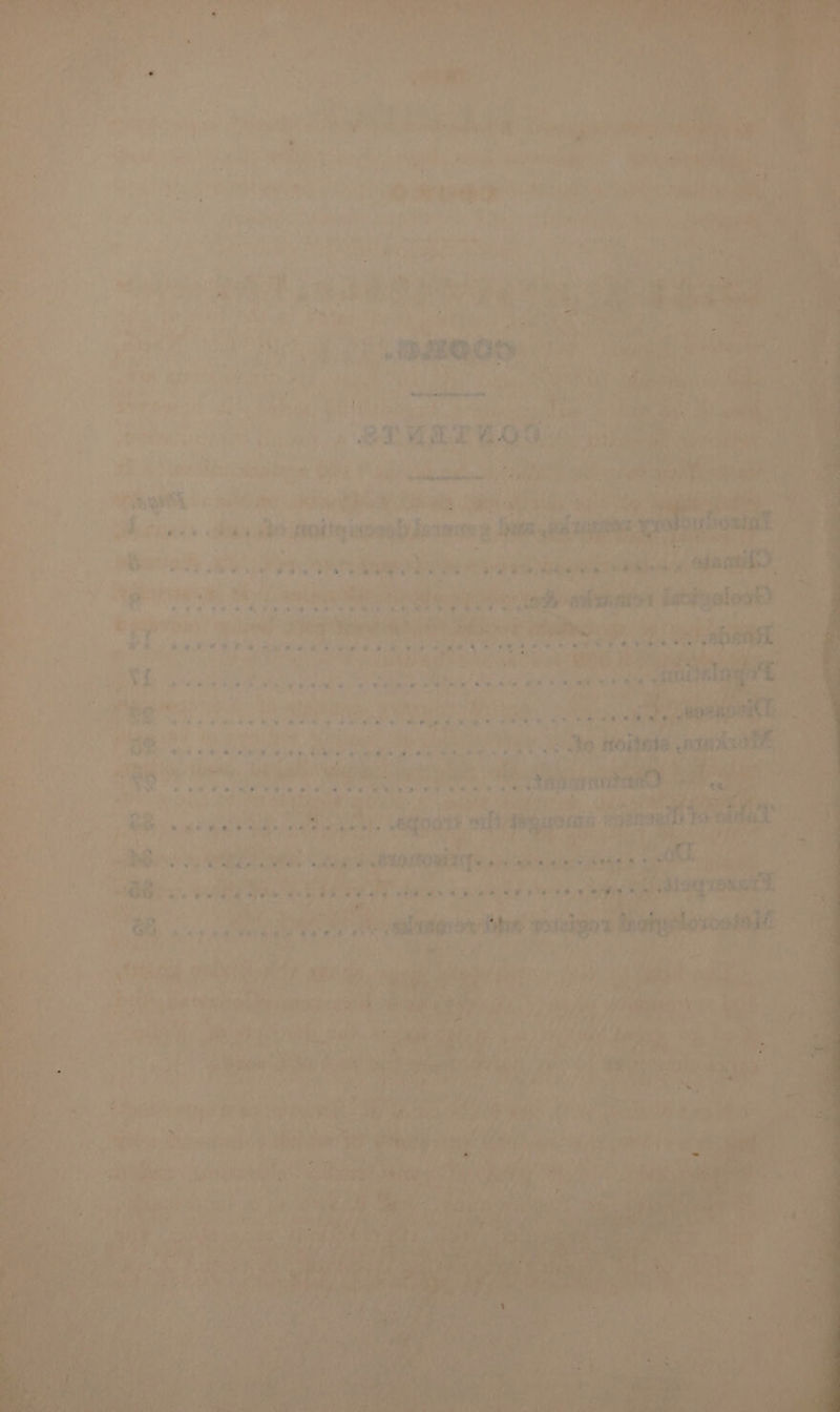meen nisin sieiccsntalia ran Ki es | Di: Bib  : A os dei anitionainiennneg | ra vee eer 9 fired o Thal ve hi biti ha oie ¥ as wi ; au ft ‘? : : 4 weet.) oe +, NES ghd “Cs | abe Amante PM > tf lates Ate ae Ai ae +d tae oth ee 2 le yay vac  ; PP: ae, Sy te Silbiote eA Ber ms ies a 1a 2 y : ey Ea a : ‘ igri a mee — i