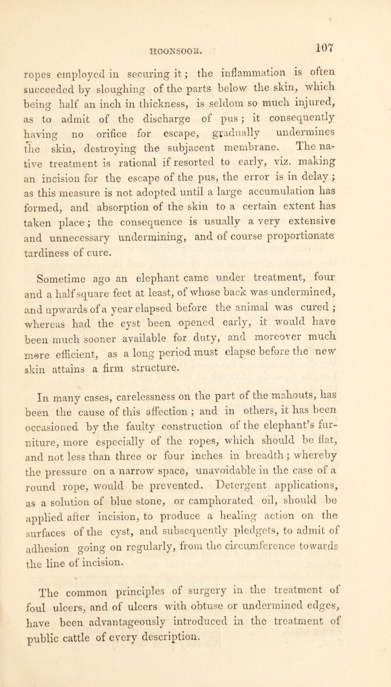 ropes employed in securing it; the indammation is often succeeded by sloughing of the parts below the skin, which being half an inch in thickness, is seldom so much injured, as to admit of the discharge of pus; it consequently having no orifice for escape, gradually undermines the skin, destroying the subjacent membrane. The na¬ tive treatment is rational if resorted to early, viz. making an incision for the escape of the pus, the error is in delay; as this measure is not adopted until a large accumulation has formed, and absorption of the skin to a certain extent has taken place; the consequence is usually a very extensive and unnecessary undermining, and of course proportionate tardiness of cure. Sometime ago an elephant came under treatment, four and a half square feet at least, of whose back was undermined, and upwards of a year elapsed before the animal was cured ; whereas had the cyst been opened early, it would have been much sooner available for duty, and moreover much mere efficient, as a long period must elapse before the new skin attains a firm structure. In many cases, carelessness on the part of the maiiouts, has been the cause of this affection ; and in others, it has been occasioned by the faulty construction of the elephant’s fur¬ niture, more especially of the ropes, which should be hat, and not less than three or four inches in breadth; whereby the pressure on a narrow space, unavoidable in the case of a round rope, would be prevented. Detergent applications, as a solution of blue stone, or camphorated oil, should he applied after incision, to produce a healing action on the surfaces of the cyst, and subsequently pledgets, to admit of adhesion going on regularly, from the circumference towards the line of incision. The common principles of surgery in the treatment of foul ulcers, and of ulcers with obtuse or undermined edges, have been advantageously introduced in the treatment of public cattle of every description.