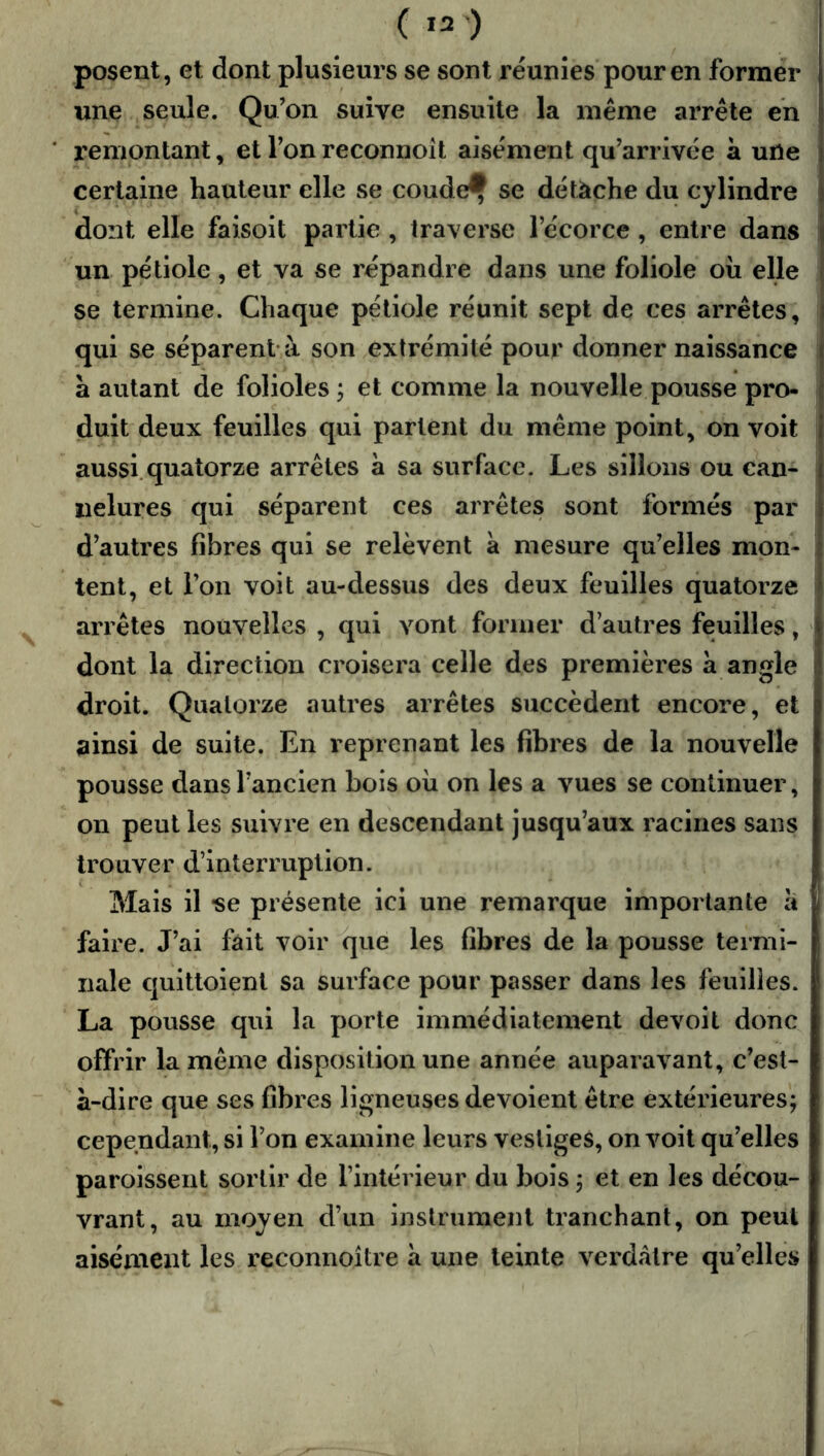 ( ) posent, et dont plusieurs se sont réunies pour en former une seule. Qu’on suive ensuite la même arrête eh remontant, et l’on reconnoît aisément qu’arrivée à une certaine hauteur elle se coude^ se dé tâche du cylindre dont elle faisoit partie , traverse l’écorce , entre dans un pétiole, et va se répandre dans une foliole oii elle se termine. Chaque pétiole réunit sept de ces arrêtes, qui se séparent-à son extrémité pour donner naissance a autant de folioles j et comme la nouvelle pousse pro- duit deux feuilles qui partent du même point, on voit aussi.quatorze arrêtes à sa surface. Les sillons ou can- nelures qui séparent ces arrêtes sont formés par i d’autres fibres qui se relèvent à mesure qu’elles mon- tent, et l’on voit au-dessus des deux feuilles quatorze ^ arrêtes nouvelles , qui vont former d’autres feuilles, ' dont la direction croisera celle des premières a angle droit. Quatorze autres arrêtes succèdent encore, et ainsi de suite. En reprenant les fibres de la nouvelle pousse dans l’ancien bois ou on les a vues se continuer, on peut les suivre en descendant jusqu’aux racines sans trouver d’interruption. Mais il «e présente ici une remarque importante a faire. J’ai fait voir que les fibres de la pousse termi- nale quittoient sa surface pour passer dans les feuilles. La pousse qui la porte immédiatement de voit donc offrir la même disposition une année auparavant, c’est- à-dire que ses fibres ligneuses dévoient être extérieures; cependant, si l’on examine leurs vestiges, on voit qu’elles paroissent sortir de l’intérieur du bois ; et en les décou- vrant, au moyen d’un instrument tranchant, on peut aisément les reconnoître à une teinte verdâtre qu’elles