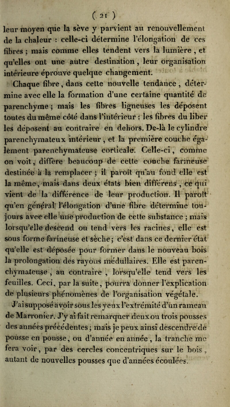 leur moyen que la sève y parvient au renouvellement de la chaleur : celle-ci détermine Télongation de ces fibres ; mais comme elles tendent vers la lumière , et qu’elles ont une autre destination , leur organisation intérieure éprouve quelque changement. Chaque fibre, dans cette nouvelle tendance, déter- mine avec elle la formation d’une certaine quantité de parenchyme ; mais les fibres^ ligneuses les déposent toutes du même côté dans l’intérieur : les fibres du liber les déposent au contraire en dehors. De-la le cylindre parenchymateux intérieur , et la première couche éga- lement parenchymateuse corticale. Celle-ci, comme on voit, diffère beaucoup de cette couche farineuse destinée à la remplacer ; il paroît qu’au fond elle est la même, mais dans deux étals bien dîfférens , ce qui vient de la différence de leur production. Il paroît qu’en général' l’élongation d’une fibre détermine tou- jours avec elle une production de cette substance ; mais lorsqu’elle descend ou tend vers les racines, elle est sons forme farineuse et sèche; c’est dans ce dernier état qu’elle est déposée pour former dans le nouveau bois la prolongation des rajoïis médullaires. Elle est paren- chymateuse , au contraire , lorsqu’elle tend vers les feuilles. Ceci, parla suite, pourra donner l’explication de plusieurs phénomènes de l’organisation végétale. J’ai supposé avoir sous les yeux l’extrémité d’ün rameau de Marronier. J’y ai fait remarquer deux ou trois pousses des années précédentes ; mais je peux ainsi descendre’dé pousse en pousse, ou d’année en année , la tranche me fera voir, par des cercles concentriques sur le bois , autant de nouvelles pousses que d’années écoulées.