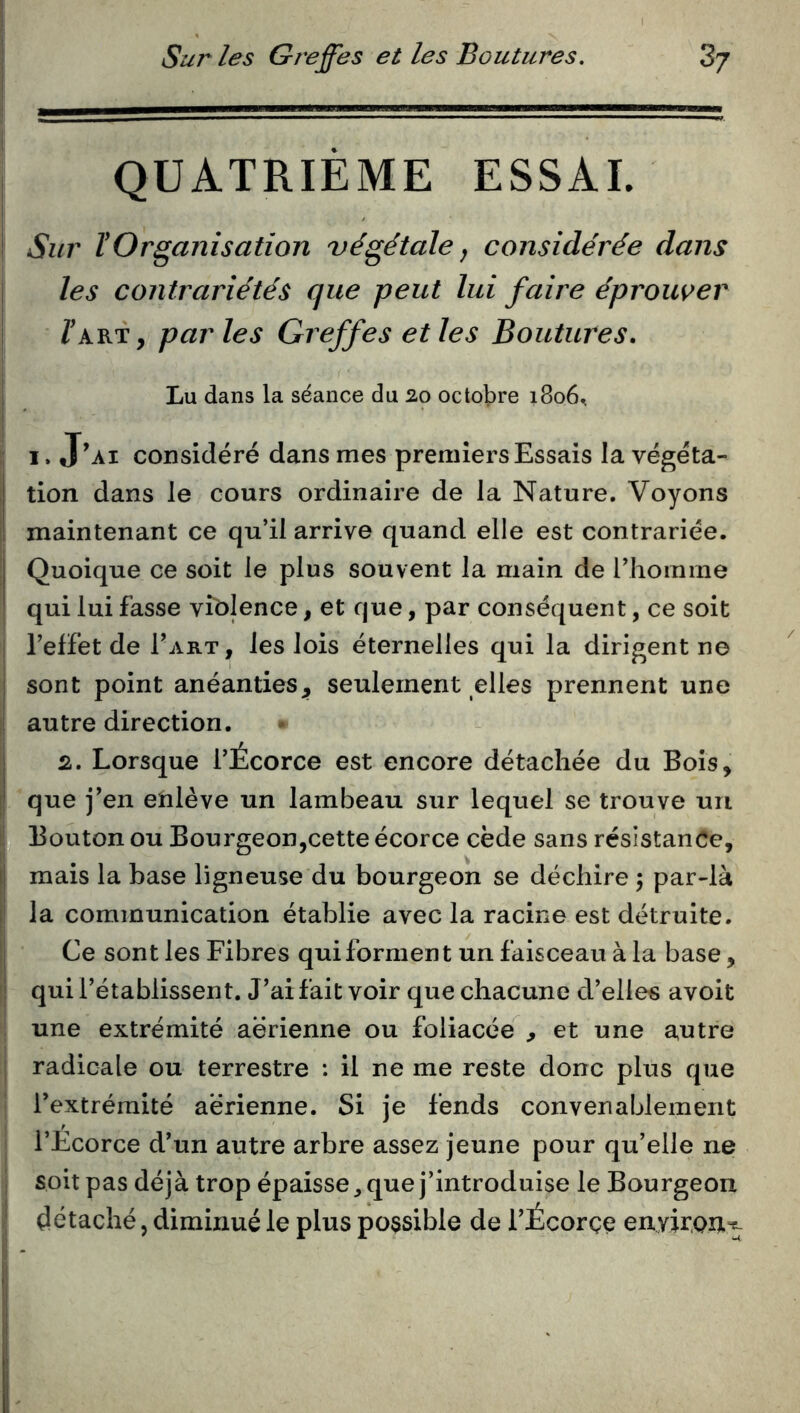 QUATRIÈME ESSAI. Sur ïOrganisation végétale j considérée dans les contrariétés que peut lui faire éprower /'art, parles Greffes et les Boutures. Lu dans la séance du 20 octobre 1806^ I. J’ai considéré dans mes premiers Essais la végéta- tion dans le cours ordinaire de la Nature. Voyons maintenant ce qu’il arrive quand elle est contrariée. Quoique ce soit le plus souvent la main de riiomme qui lui fasse viblence, et que, par conséquent, ce soit l’effet de Fart, les lois éternelles qui la dirigent ne sont point anéanties, seulement elles prennent une autre direction. 2. Lorsque l’Écorce est encore détachée du Bois, que j’en enlève un lambeau sur lequel se trouve un i y^Bouton ou Bourgeon,cette écorce cède sans résistance, mais la base ligneuse du bourgeon se déchire 5 par-là la communication établie avec la racine est détruite. Ce sont les Fibres qui forment un faisceau à la base, qui l’établissent. J’ai fait voir que chacune d’elles avoit une extrémité aerienne ou foliacée et une autre I radicale ou terrestre : il ne me reste donc plus que ‘ l’extrémité aérienne. Si je fends convenablement j l’Ecorce d’un autre arbre assez jeune pour qu’elle ne j soit pas déjà trop épaisse, que j’introduise le Bourgeon j détaché 5 diminué le plus possible de l’Écorçe environ