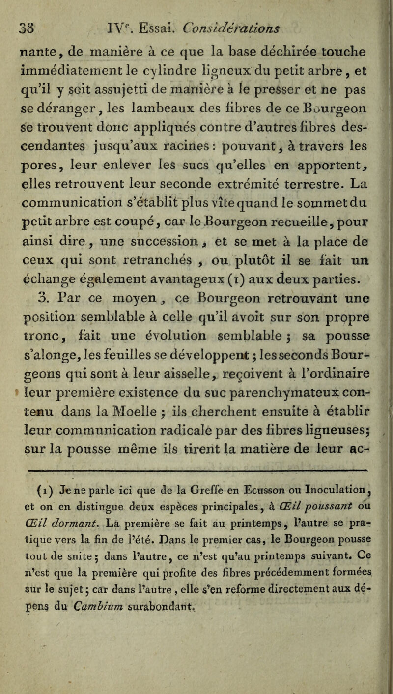 nante, de manière à ce que la base déchirée touche immédiatement le cylindre ligneux du petit arbre , et quhl y soit assujetti de manière k le presser et ne pas se déranger, les lambeaux des libres de ce Bourgeon se trouvent donc appliqués contre d'autres libres des- cendantes jusqu'aux racines: pouvant, à travers les pores, leur enlever les sucs qu'elles en apportent, elles retrouvent leur seconde extrémité terrestre. La communication s'établit plus vite quand le sommet du petit arbre est coupé, car le Bourgeon recueille, pour ainsi dire, une succession , et se met à la place de ceux qui sont retranchés , ou plutôt il se lait un échange également avantageux (t) aux deux parties. 3. Par ce moyen ^ ce Bourgeon retrouvant une position semblable à celle qu'il avoit sur son propre tronc, fait une évolution semblable \ sa pousse s’alonge, les feuilles se développent \ les seconds Bour- geons qui sont à leur aisselle, reçoivent à l'ordinaire leur première existence du suc parenchymateux con- tenu dans la Moelle 5 ils cherchent ensuite à établir leur communication radicale par des fibres ligneuses; sur la pousse même iis tirent la matière de leur ac- (1) Je ne parle ici que de la Greffe en Ecusson ou Inoculation, et on en distingue deux espèces principales, à Œil poussant ou Œil dormant. Là première se fait au printemps, l’autre se pra- tique vers la fin de l’été. Dans le premier cas, le Bourgeon pousse tout de snite ; dans l’autre, ce n’est qu’au printemps suivant. Ce n’est que la première qui profite des fibres précédemment formées sur le sujet ; car dans l’autre , elle s’en reforme directement aux dé- pens du Cambium surabondant.