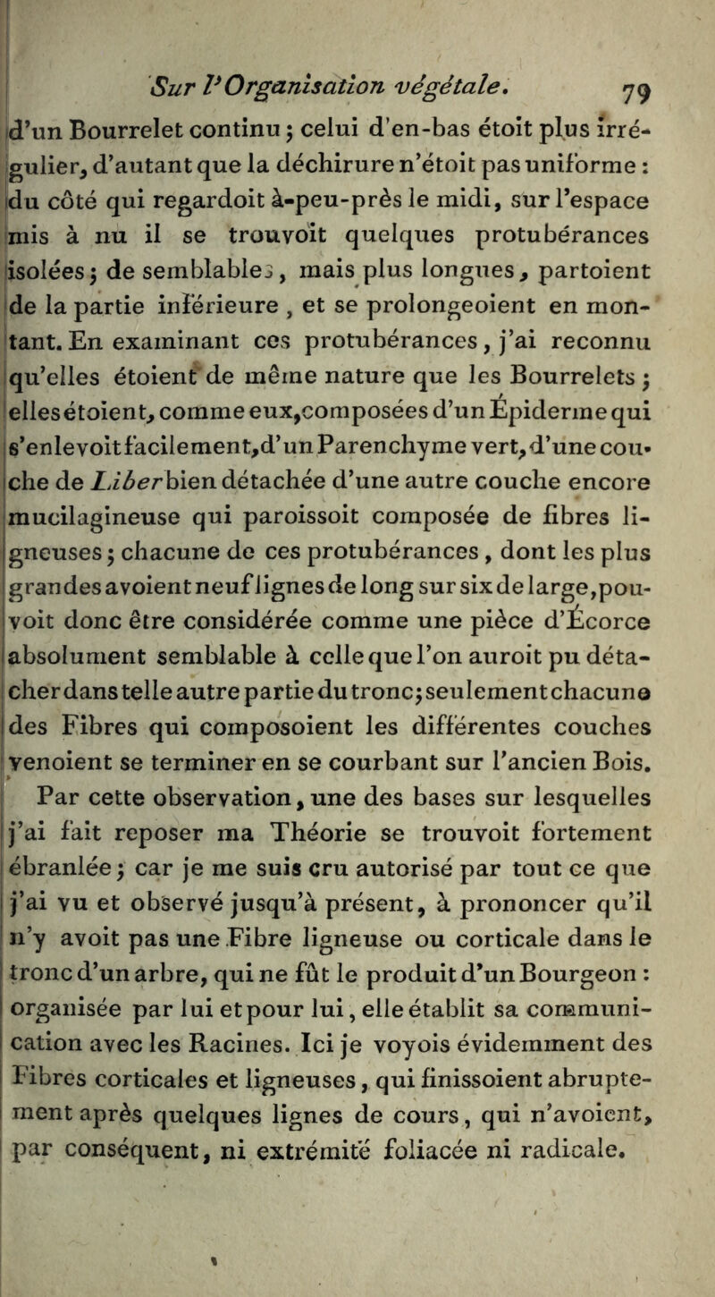 id’un Bourrelet continu ; celui d’en-bas étoit plus irré- gulier, d’autant que la déchirure n’étoit pas uniforme : idu côté qui regardoit à-peu-près le midi, sur l’espace Iniis à nu il se trou voit quelques protubérances isolées5 de semblables, mais plus longues, partoient ide la partie inférieure , et se prolongeoient en mon- tant. En examinant ces protubérances, j’ai reconnu qu’elles étoient de même nature que les Bourrelets ; elles étoient, comme eux,composées d’un Épiderme qui i6’enlevoitfacilement,d’un Parenchyme vert,d’une cou- iche de bien détachée d’une autre couche encore mucilagineuse qui paroissoit composée de fibres li- Igneuses ; chacune de ces protubérances , dont les plus grandes avoient neuf lignes de long sur six de large,pou- voit donc être considérée comme une pièce d’Écorce I absolument semblable à celle que l’on auroit pu déta- cher dans telle autre partie du tronc j seulement chacune jdes Fibres qui composoient les différentes couches ' venoient se terminer en se courbant sur l’ancien Bois. » ! Par cette observation, une des bases sur lesquelles j’ai fait reposer ma Théorie se trouvoit fortement ébranlée I car je me suis cru autorisé par tout ce que I j’ai vu et observé jusqu’à présent, à prononcer qu’il n’y avoit pas une Fibre ligneuse ou corticale dans le ' tronc d’un arbre, qui ne fût le produit d’un Bourgeon : I organisée par lui et pour lui, elle établit sa communi- i cation avec les Racines. Ici je voyois évidemment des Fibres corticales et ligneuses, qui finissoient abrupte- ment après quelques lignes de cours, qui n’avoient, par conséquent, ni extrémité foliacée ni radicale.