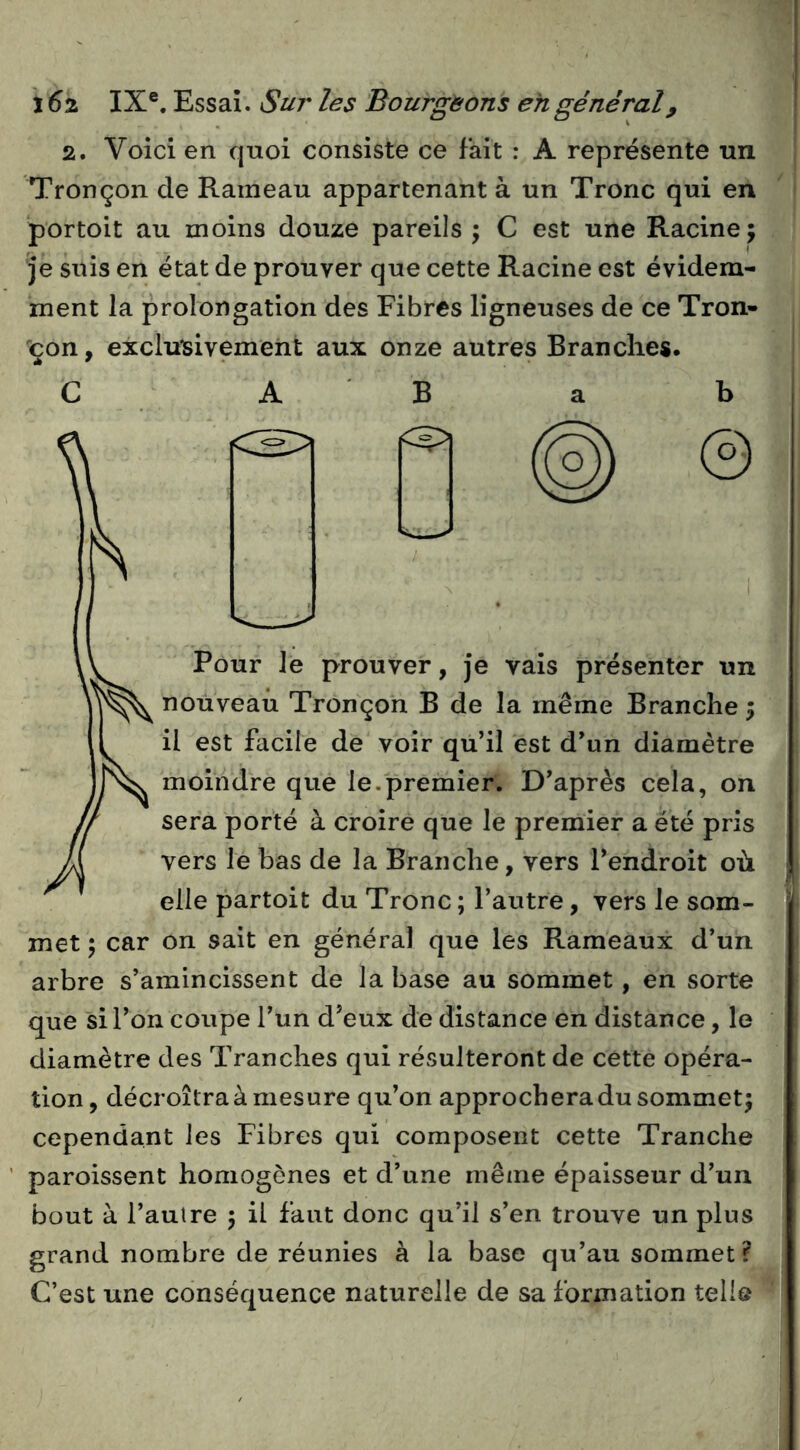 2. Voici en qnoi consiste ce fait : A représente un Tronçon de Rameau appartenant à un Tronc qui en portoit au moins douze pareils; C est une Racine; je suis en état de prouver que cette Racine est évidem- ment la prolongation des Fibres ligneuses de ce Tron- çon , exclu'sivemeht aux onze autres Brandies. C A B a b © kPour le prouver, je vais présenter un nouveau Tronçon B de la même Branche ; il est facile de voir qu’il est d’un diamètre moindre que le.premier. D’après cela, on sera porté à croire que le premier a été pris vers le bas de la Branche, vers l’endroit où elle partoit du Tronc ; l’autre, vers le som- met ; car on sait en général que les Rameaux d’un arbre s’amincissent de la base au sommet, en sorte que si l’on coupe l’un d’eux de distance en distance, le diamètre des Tranches qui résulteront de cette opéra- tion, décroîtra à mesure qu’on approchera du sommet; cependant les Fibres qui composent cette Tranche paroissent homogènes et d’une même épaisseur d’un bout à l’aulre ; il faut donc qu’il s’en trouve un plus grand nombre de réunies à la base qu’au sommet? C’est une conséquence naturelle de sa formation telle