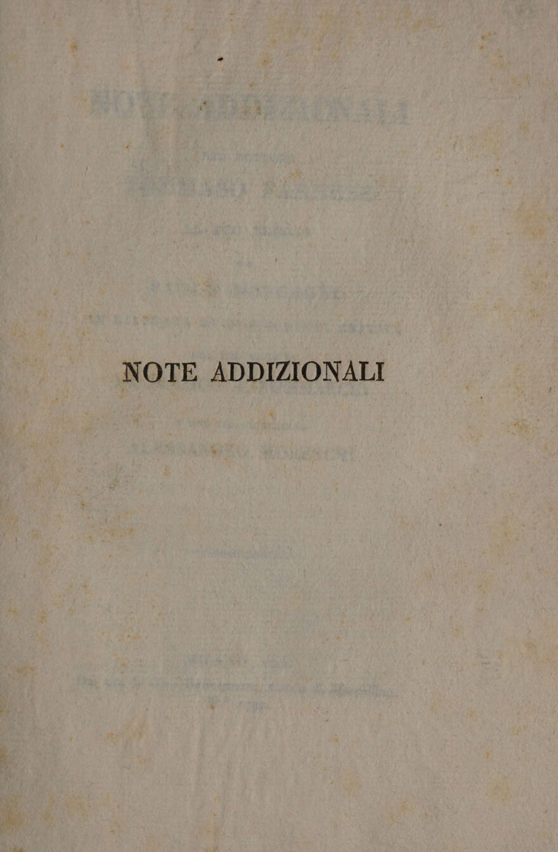 NOTE ADDIZIONALI