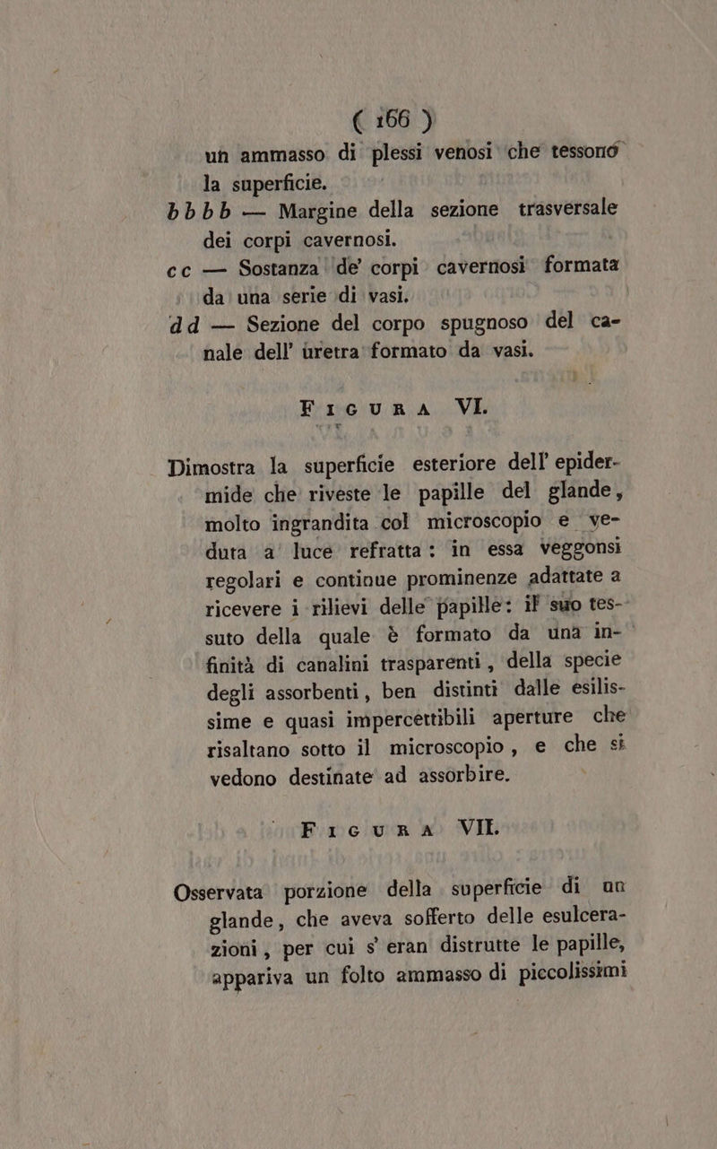 un ammasso di plessi venosi ‘che tessono” la superficie. | bbbb — Margine della sezione trasversale dei corpi cavernosi. | cc — Sostanza [de corpi. cavernosi formata da una serie di vasi. | dd — Sezione del corpo spugnoso del ca- nale dell’ uretra' formato da vasi. Fi uRA VI. Dimostra la superficie esteriore dell epider- mide che’ riveste le papille del glande, molto ingrandita col microscopio e ve- duta a’ luce refratta : in essa Veggonsi regolari e continue prominenze adattate a ricevere i rilievi delle’ papille: if suo tes- suto della quale è formato da una in-° finità di canalini trasparenti, della specie degli assorbenti, ben distinti dalle esilis- sime e quasi impercettibili aperture che risaltano sotto il microscopio, e che si vedono destinate ad assorbire. Ficura VII Osservata porzione della . superficie di non glande, che aveva sofferto delle esulcera- zioni, per cui s' eran distrutte le papille, appariva un folto ammasso di piccolissimi