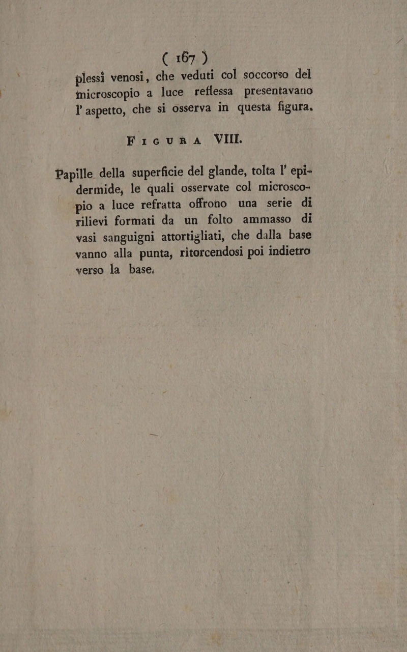 plessi venosi, che veduti col soccorso del microscopio a luce reflessa presentavano l'aspetto, che si osserva in questa figura. Ficuka VIII. bapille della superficie del glande, tolta l’ epi- dermide, le quali osservate col microsco- pio a luce refratta offrono una serie di rilievi formati da un folto ammasso di vasi sanguigni attortigliati, che dalla base vanno alla punta, ritorcendosi poi indietro verso la base.