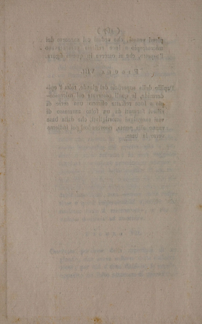 as PI VITTO E dI: LAGRUIOTO Ri CIRAPAN