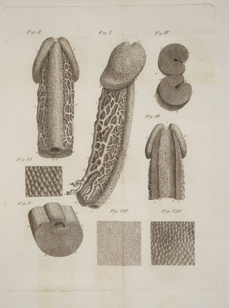 26 IS SS IR Do AG % tai N RD!