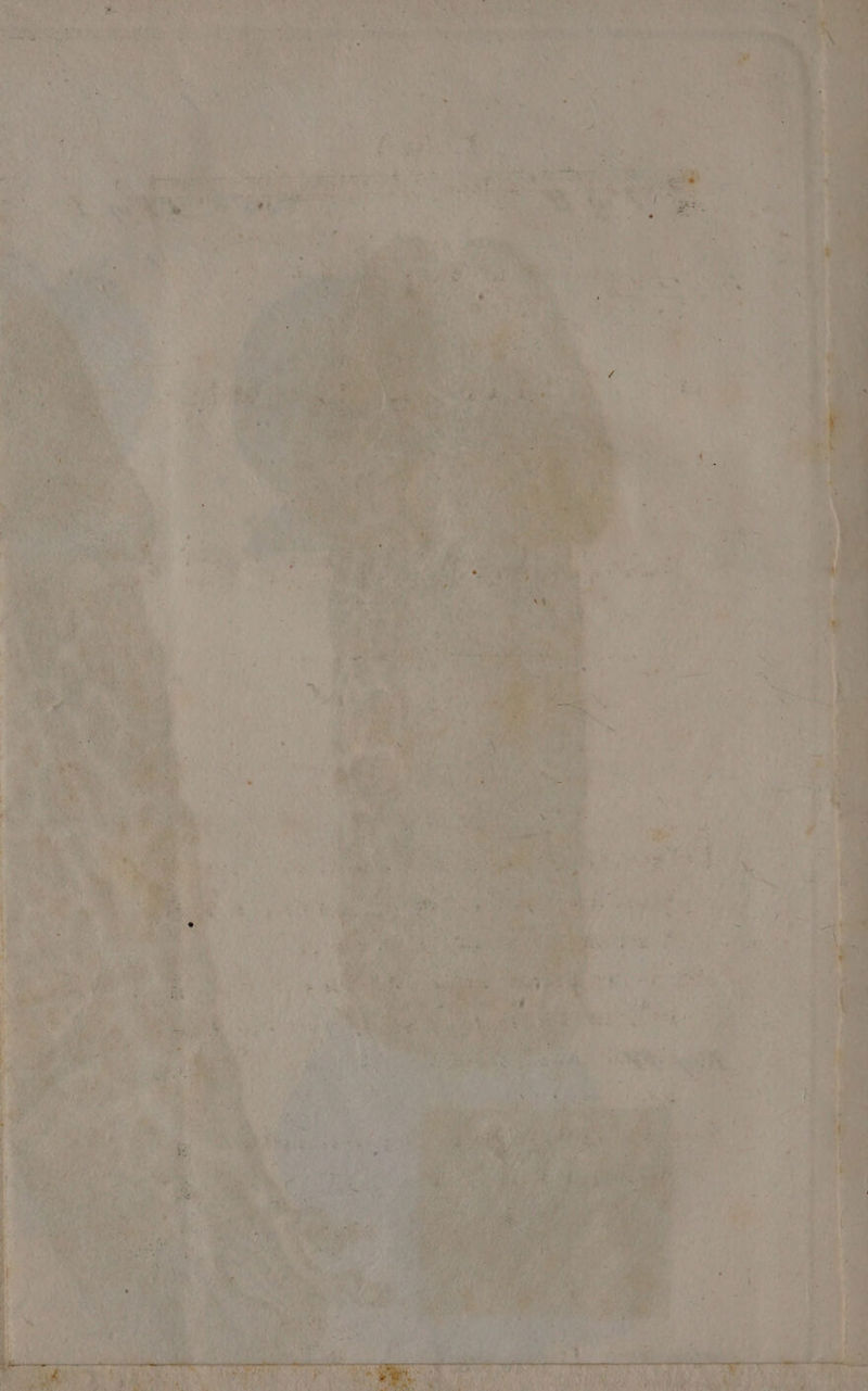 È) i (rnladiliai ran Sinti c cad tn di Bi usb More ere du cry d- ba Soi LS è Pa