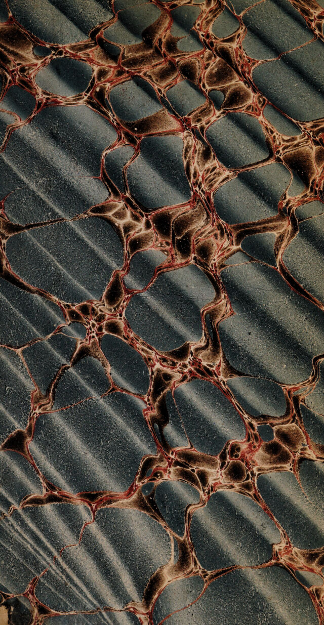 No text description is available for this image