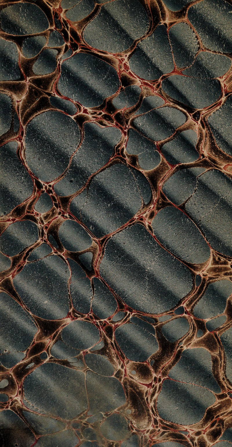 â.'* ; Mmg ®a§g®BL1^Sfe I_: