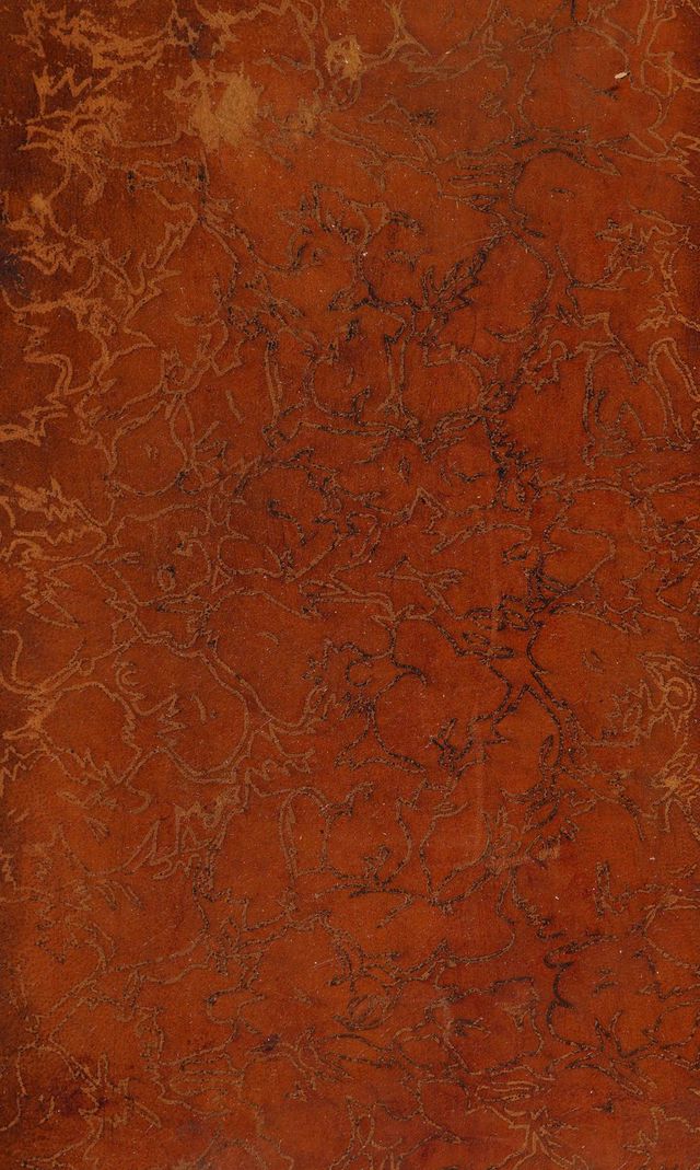 No text description is available for this image