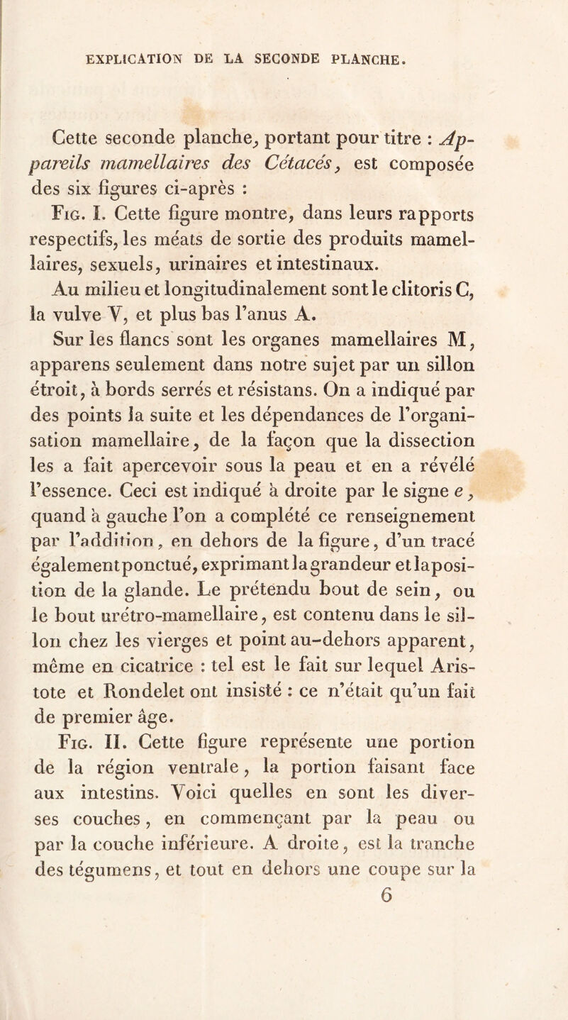 EXPLICATION DE LA SECONDE PLANCHE. Cette seconde planche, portant pour titre : Ap- pareils mamellaires des Cétacés, est composée des six figures ci-après : Fig. I. Cette figure montre, dans leurs rapports respectifs, les méats de sortie des produits mamel- laires, sexuels, urinaires et intestinaux. Au milieu et longitudinalement sont le clitoris C, la vulve V, et plus bas l’anus A. Sur les flancs sont les organes mamellaires M, apparens seulement dans notre sujet par un sillon étroit, à bords serrés et résistans. On a indiqué par des points ia suite et les dépendances de l’organi- sation mamellaire, de la façon que la dissection les a fait apercevoir sous la peau et en a révélé l’essence. Ceci est indiqué à droite par le signe e, quand a gauche l’on a complété ce renseignement par l’addition, en dehors de la figure, d’un tracé égalementponctué, exprimant la grandeur etlaposi- tion de la glande. Le prétendu bout de sein, ou le bout urétro-mamellaire, est contenu dans le sil- lon chez les vierges et point au-dehors apparent, même en cicatrice : tel est le fait sur lequel Aris- tote et Rondelet ont insisté : ce n’était qu’un fait de premier âge. Fig. II. Cette figure représente une portion de la région ventrale, la portion faisant face aux intestins. Voici quelles en sont les diver- ses couches, en commençant par la peau ou par la couche inférieure. A droite, est la tranche des tégumens, et tout en dehors une coupe sur la