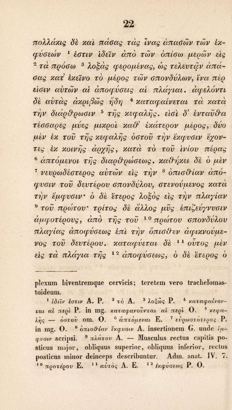 πολλάκις δέ καί πάσας τάς ίνας άπασών των έκ- φύσεων * 1 * έστιν ίδεϊν άπό των όπίσω μερών εις 2 τά πρόσω 3 λοζάς φερομένας, ώς τελευτάν άπά- σας κατ’ έκεϊνο τό μέρος των σπονδύλων, ϊνα πέρ είσιν αυτών αί αποφύσεις αί πλάγιαι. άφελόντι δέ αντάς ακριβώς η δη 4 καταφαίνεται τά κατά την διάρ&ρωσιν 5 της κεφαλής, εϊσί δ’ ένταϋ&α τέσσαρες μνες μικροί καχλ’ έκάτερον μέρος, δυο μέν έκ του της κεφαλής όστοϋ την εκφνσιν έχον- τες έκ κοινής αρχής, κατά τό του ινίου πέρας 6 άπτόμενοι της διαριλρώσεως. καχληκει δέ 6 μέν 7 νευρωδέστερος αυτών εις την 8 όπισχλίαν άπό- φυσιν του δευτέρου σπονδύλου, στενουμενος κατά την εμφυσιν ό δέ έτερος 2ο£θ£ εις την πλαγίαν 9 του πρώτου * τρίτος δέ άλλος μυς έπιζευγνυσιν άμφοτέρους, άπό της του 10 πρώτου σπονδύλου πλαγίας άποφύσεως επί την οπισχλεν άφικνούμε- νος του δευτέρου. καταφυεται δέ 11 ούτος μέν εις τά πλάγια της 12 άποφύσεως, ό δέ έτερος ό ρΐβχαιη Ιήνβηΐχβπίφΐβ οβυνίοίδ; Ιβί’βΙβπι νβΓο ΐΓβοΙιβΙοιηακ- ΙοίθεαίΏ. 1 ίδεϊν ίοτιν Α. Ρ. 2 τό Α. 3 λοζως Ρ. 4 καταφαίνον- ται αί περί Ρ. ίη 1Ώ§. καταφανουνται αί περί Ο. 5 κεφα- λής — δοτού οιη. Ο. 6 * άπτόμεναι Ε. 7 ενρωοτότερος Ρ. ίη ηΐ^. Ο. 8 δπιο&ίαν εκφνοιν Α. ίηδοτίίοηβιη (χ. ιηηίβ ϊμ- φναιν δοΐ'ίρδί. 9 πλατ ον Α. — Μιΐδοηίαδ Γβοίιΐδ 03ρίΐίδ ρο- δίίοιίδ ηΐϋ]θΓ, οΚΙίφΐυδ δΐιρεποΓ, οΐίϋφΐιΐδ ίηίβποΐ’, ΓβοΙυδ ροδίίοηδ ιηίηοΐ' ύβίηοβρδ (ΙβδΟΐήΙίΐιηΙιΐΓ. Α<ίιη. οη&Ι. IV. 7. * 0 προτερου Ε. 11 αυτός Α. Ε. 1 2 ίκφνσεο)ς Ρ. Ο.