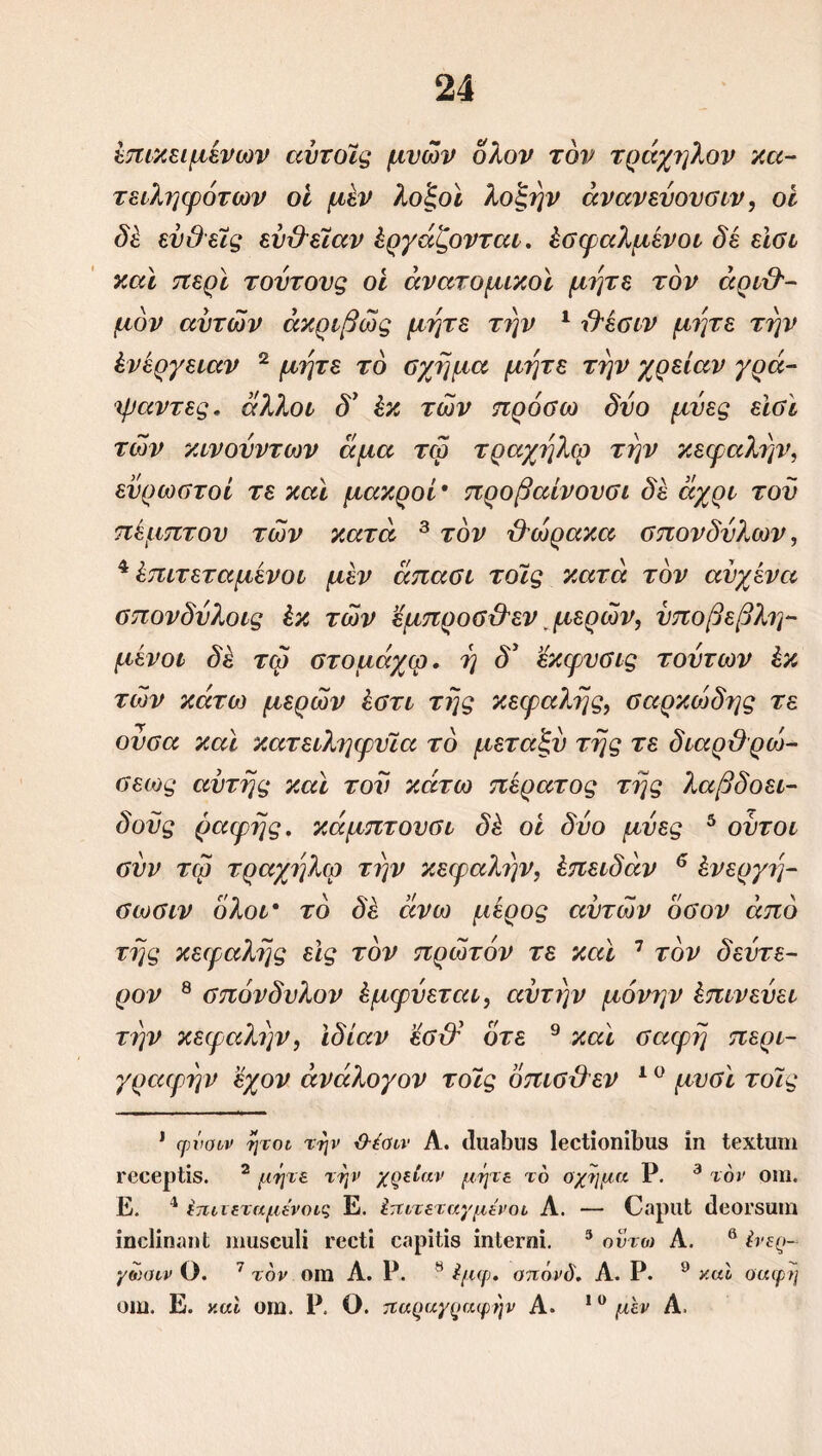 επικειμένων αύτοίς μυών όλον τον τράχηλον κα- τειληφότων οί μέν λο’ξοϊ λοξήν άνανεύουσιν, οί δέ ευθείς εύιλεϊαν Εργάζονται. Εσφαλμένοι δέ εϊσι και περί τούτους οι ανατομικοί μήτε τον αριθ- μόν αυτών ακριβώς μήτε την 1 τλέσιν μήτε την Ενέργειαν 2 μήτε το σχήμα μήτε την χρείαν γρά- ψαντες. άλλοι δ' Εκ τών πρόσω δυο μύες είσί τών κινονντων άμα τω τραχήλω τήν κεφαλήν, εύρωστοι τε καί μακροί · προβαίνουσι δε άχρι τον πέμπτου τών κατά 3 τον θ'ώρακα σπονδύλων, 4 Επιτεταμένοι μεν άπασι τδίς κατά τον αυχένα σπονδύλοις Εκ τών ’έμπροσ&εν, μερών, υποβεβλη- μένοι δέ τω στομάχω. ή δ’ ’έκφυσις τούτων Εκ τών κάτω μερών Εστι τής κεφαλής, σαρκώδης τε ουσα καί κατειληφυϊα το μεταξύ τής τε διαρϋρώ- σεως αυτής καί τον κάτω πέρατος τής λαβδοει- δοϋς ραφής, κάμπτουσι δέ οί δύο μύες 5 ούτοι συν τω τραχήλω τήν κεφαλήν, Επειδάν 6 Ενεργή- σωσιν ολοι* το δέ άνω μέρος αυτών όσον άπό τής κεφαλής εις τον πρώτον τε και 7 τον δεύτε- ρον 8 σπόνδυλον Εμφύεται, αυτήν μόνην Επινεύει τήν κεφαλήν, ιδίαν εσιλ’ ότε 9 καί σαφή περι- γραφήν ’έχον άνάλογον τοϊς όπισ&εν 1 υ μυσί τοίς 1 φύουν ήτοι την &έθιν Α. <1ΐΐ3ΐ)ΐΐ8 1βθΐίοηί1)ΐΐ8 ίη ΙβχΙΐΠΐΐ Γβοβρίίδ. 2 μήτε τήν χρείαν μήτε το Οχημα Ρ. 3 τον οίη. Ε. 4 έπιιεταμένοις Ε. ίπιτεταγμενοι Λ. — ΟίφΐΐΙ ίΙβΟΓδίΐΐη ίηοΐίηαηΐ ιηιΐδοιιΐί γοοΙι οβρϋίβ ίηΙβΓηΐ. 9 οντω Α. 6 ένερ- γωοιν Ο. 7 τον οίη Α. Ρ. 8 ίμφ. οπόνύ. Α. Ρ. 9 καί οαφή οίη. Ε. καί οίη, Ρ. Ο. παραγραφήν Α. 10 μεν Α.