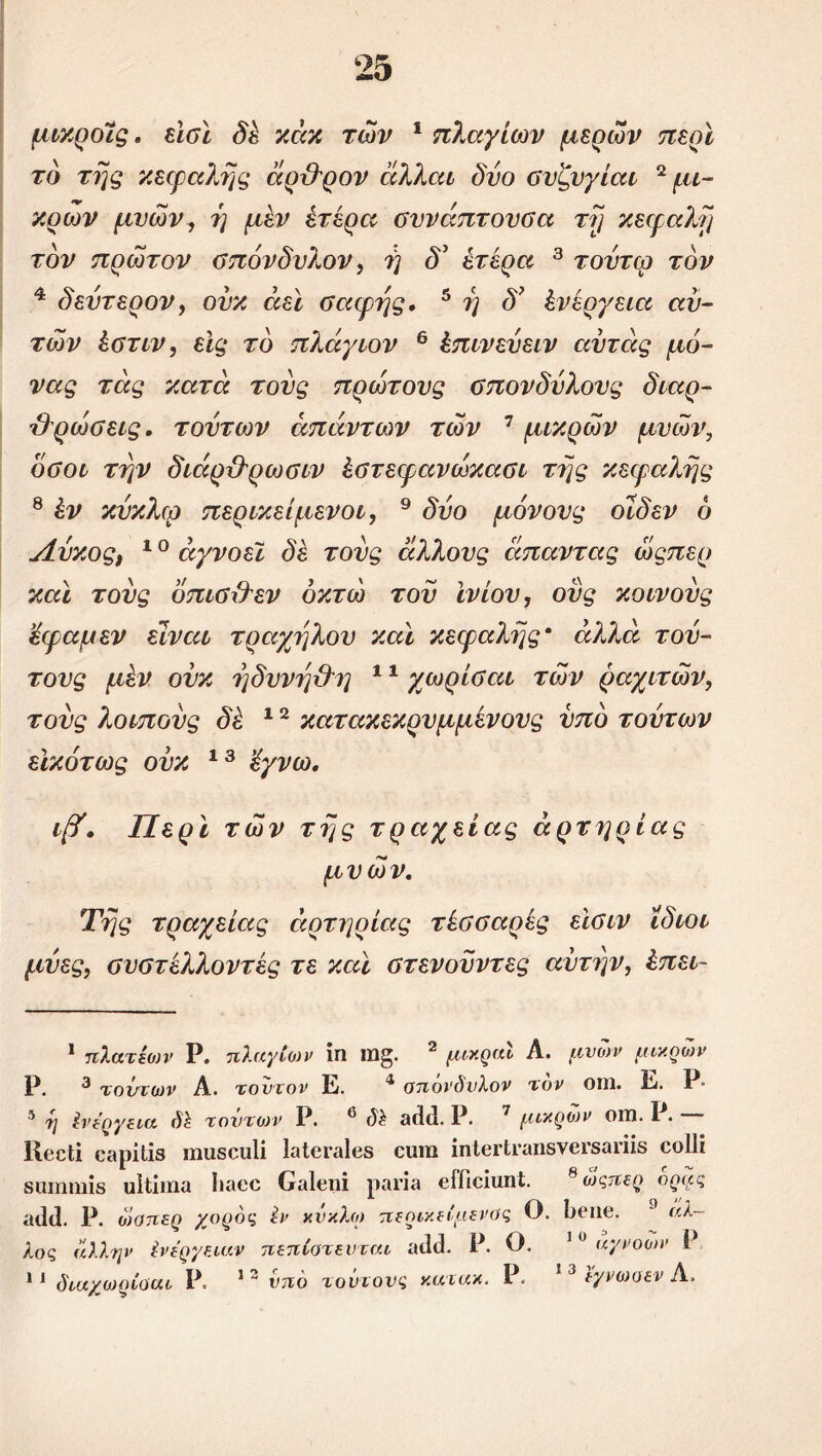 μικροϊς. είσί δέ κέικ τών 1 πλαγίων μερών περί το της κεφαλής άρθρον άλλαι δύο συζυγίαν 2 μι- κρών μνώνι η μεν ετερα συνάπτουσα τη κεφαλή τον πρώτον σπόνδυλον, η δ' ετερα 3 * τοντω τον 4 δεύτερον, ονκ αεί σαφής, 5 η δ’ ένέργεια αυ- τών έστιν, εις το πλάγιον 6 έπινεύειν αύτάς μά- νας τάς κατά τούς πρώτους σπονδύλους διαρ- θρώσεις. τούτων απάντων των 7 * μικρών μνών, οσοι την διάρθρωσιν έστεφανώκασι της κεφαλής 8 έν κύκλω περικείμενοι, 9 δύο μόνους οϊδεν ό Λύκος, 10 αγνοεί δέ τούς άλλους άπαντας ώςπερ καί τούς όπισθεν οκτώ τον ίνίον, ονς κοινούς ’έφαμεν είναι τράχηλου καί κεφαλής* αλλά τού- τους μεν ονκ ηδυνηθη 11 χωρίσαι τών ραχιτών, τούς λοιπούς δέ 12 κατακεκρυμμένους υπό τούτων εικότως ούκ 13 ’έγνω. ιβό. Περί τών της τραχείας άρτηρίας μνών. Της τραχείας άρτηρίας τέσσαρές είσιν ίδιοι μύες, συστέλλοντας τε καί στενοϋντες αυτήν, έπει- 1 πλατέων Ρ. πλαγίθ)ν ίη 1ΰ§. 2 μικραι Α. μνων μικρών Ρ. 3 τούτων Α. τούτον Ε. 4 οηονδνλον τον οιη. Ε. Ρ· 3 τι ένέργεια τοντων Ρ. ® (5£ 3(3(1. Ρ. 7 μικρών 01Ώ. I . Ιΐεοϋ 03ρϊ1ΐ8 ιηιΐδοιιΐί Ιαΐβι-αΐβδ οιηιι ίηΐβΐΐπιηδνβΐ'δαπίδ οοΐΐί δΐιιηιιιίδ πΐΐίιηα Ιιαοο Οαΐεηί ραπβ είΓιοίιιηΙ. 8 ωςπερ ορας 3(1(1. Ρ. ωοηερ χορός Ιν κύκλιο περικείμενος Ο. 1)(*ιΐ(ί. αλ~ λος άλλην ένε'ργειαν πεπ(οτενται 3(1(1. Ρ. Ο. 1 υ αγνοων Ρ