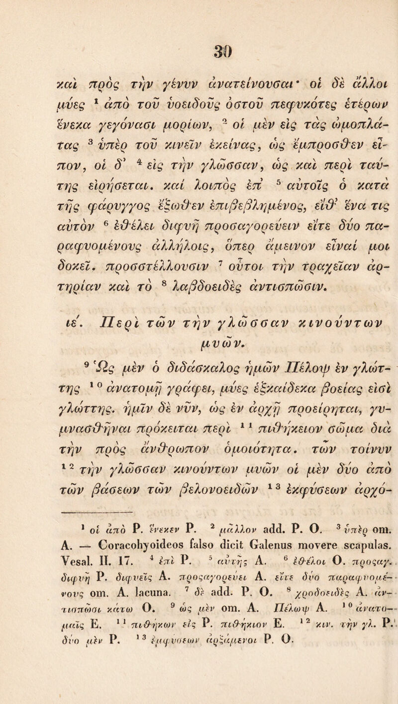 καί προς την γένυν άνατείνουσαΓ οί δε άλ?>οι μύες 1 από τον υοειδούς οστού πεφυκότες ετέρων \ένεκα γεγόνασι μορίων, 2 οί μέν είς τάς ώμοπλά- τας 3 * υπέρ τον κινεϊν έκείνας, ώς εμπροσ&εν εώ πον, οί δ} 4 εις την γλώσσαν, ώς καί περί ταυ- της εϊρησεται. καί λοιπός έπ 5 αντοίς 6 κατά της φαρνγγος εξιοιίεν Επιβεβλημένος, εί& 'ένα τις αυτόν 6 έϋέλει διφυή προσαγορεύειν είτε δυο πα- ραφυομένους άλληλοις, όπερ άμεινον είναι μοι δοκεϊ. προσστέλλουσιν 7 ουτοι την τραχεΐαν αρ- τηρίαν καί τό 8 λαβδοειδές άντισπώσιν. ιε. Περί των την γλώσσαν κινούν των μυών. 9 Ώς μέν 6 διδάσκαλος ημών Πέλοψ έν γλυπ- τής 1 0 ανατομή γράφει, μύες έξκαίδεκα βοείας είσϊ γλώττης. ημϊν δέ νυν, ώς έν άρχη προείρηται, γν- μνασ&ηναι πρόκειται περί 11 πι&ηκειον σώμα διά την προς άν&ρωπον ομοιότητα. των τοίννν 12 την γλώσσαν κινούντων μυών οί μέν δυο από τών βάσεων τών βελονοειδών 13 έκφύσεων άρχό- 1 οί από Ρ. ενεκεν Ρ. 2 μάλλον 3(1(1. Ρ. Ο. 3 νπϊρ Οίη. Α. — Οοΐ'αοοΗ^οίίΙεοδ ίαίβο (Ιΐοΐί (χαίοηιΐδ ΓηονβΓβ δοηρηίαβ. νβδβΐ. II. 17. 4 εττί Ρ. 3 αυτής Α. 6 Ι&έλοι Ο. προςαγ. διφυή Ρ. διφυείς Α. προσαγορεύει Α. είτε όνο παραφυομέ- νους 01Π. Α. Ιίΐοΐΐη». 7 δε 3(1(1. Ρ. Ο. 8 χροδοειδϊς Α. άν~ τιαπωαι χάτο) Ο. 9 ώς μέν Οίη. Α. Πέλωφ Α. 1 0 άνατο— μαϊς Ε. 11 πι&ήχοτν εις Ρ. πιθ-ήχιον Ε. 12 χιν. την γλ. Ρ.' δύο μέν Ρ. 13 ίμφνο'εων άρςάμενοι Ρ. Ο.