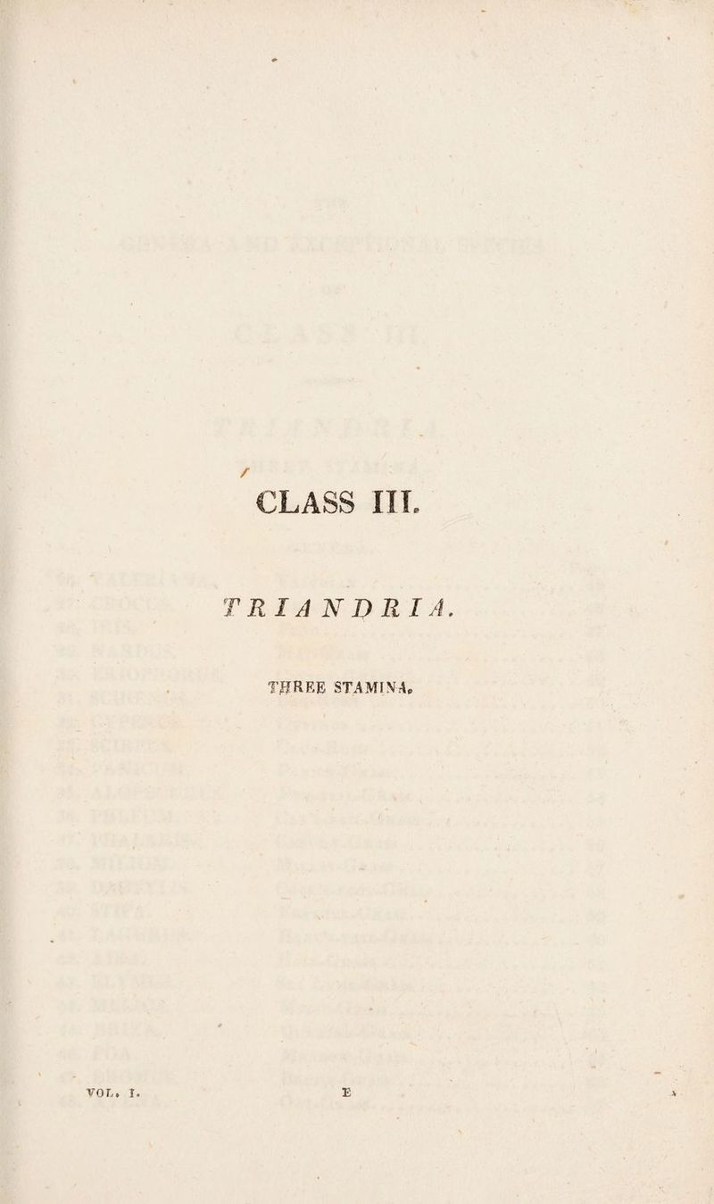 CLASS IIT. TRIANDR I A. THREE STAMINA#