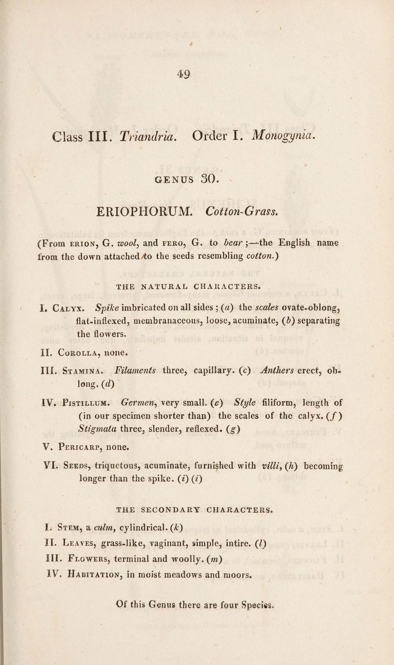 » 49 Class III. Triandria. Order I. Monogynia. genus 30. ' ERIOPHORUM. Cotton-Grass. (From erion, G. wool, and fero, G. to bearthe English name from the down attachedAo the seeds resembling cotton.) THE NATURAL CHARACTERS. I. Calyx. Spike imbricated on all sides ; («) the scales ovate-oblong, flat-inflexed, membranaceous, loose, acuminate, (b) separating the flowers. II. Corolla, none* III. Stamina. Filaments three, capillary, (c) Anthers erect, ob¬ long, (d) IV. Pistillum. Germen, very small. (<?) Style filiform, length of (in our specimen shorter than) the scales of the calyx. (/) Stigmata three, slender, reflexed. (g) V. Pericarp, none. VI. Seeds, triquetous, acuminate, furnished with villi, (h) becoming longer than the spike, (i) (i) THE SECONDARY CHARACTERS. I, Stem, a culm, cylindrical, (k) II. Leaves, grass-like, vaginant, simple, intire. (1) III. Flowers, terminal and woolly, (m) IV, Habitation, in moist meadows and moors.