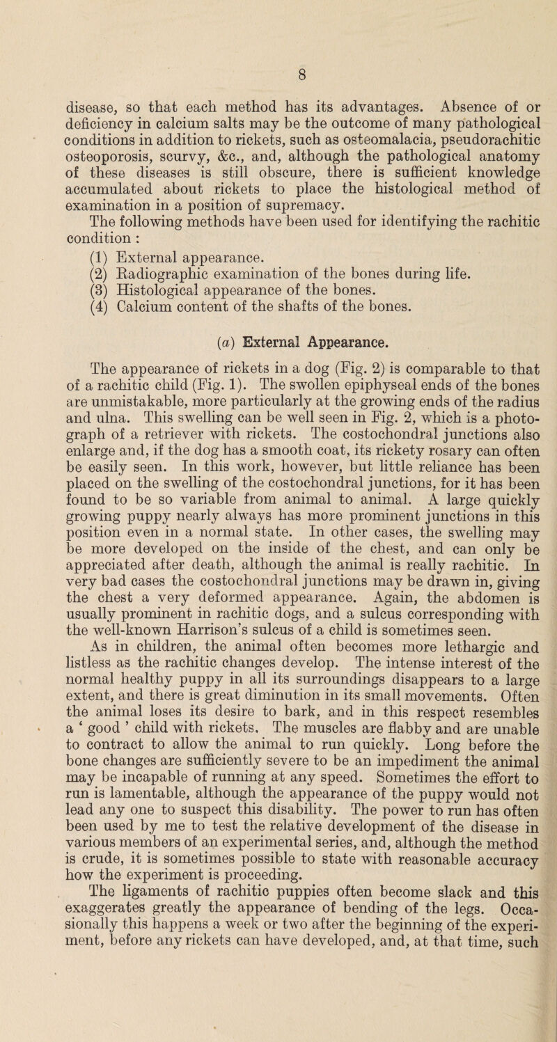 disease, so that each method has its advantages. Absence of or deficiency in calcium salts may be the outcome of many pathological conditions in addition to rickets, such as osteomalacia, pseudorachitic osteoporosis, scurvy, &c., and, although the pathological anatomy of these diseases is still obscure, there is sufficient knowledge accumulated about rickets to place the histological method of examination in a position of supremacy. The following methods have been used for identifying the rachitic condition : (1) External appearance. (2) Radiographic examination of the bones during life. (3) Histological appearance of the bones. (4) Calcium content of the shafts of the bones. (a) External Appearance. The appearance of rickets in a dog (Fig. 2) is comparable to that of a rachitic child (Fig. 1). The swollen epiphyseal ends of the bones are unmistakable, more particularly at the growing ends of the radius and ulna. This swelling can be well seen in Fig. 2, which is a photo¬ graph of a retriever with rickets. The costochondral junctions also enlarge and, if the dog has a smooth coat, its rickety rosary can often be easily seen. In this work, however, but little reliance has been placed on the swelling of the costochondral junctions, for it has been found to be so variable from animal to animal. A large quickly growing puppy nearly always has more prominent junctions in this position even in a normal state. In other cases, the swelling may be more developed on the inside of the chest, and can only be appreciated after death, although the animal is really rachitic. In very bad cases the costochondral junctions may be drawn in, giving the chest a very deformed appearance. Again, the abdomen is usually prominent in rachitic dogs, and a sulcus corresponding with the well-known Harrison’s sulcus of a child is sometimes seen. As in children, the animal often becomes more lethargic and listless as the rachitic changes develop. The intense interest of the normal healthy puppy in all its surroundings disappears to a large extent, and there is great diminution in its small movements. Often the animal loses its desire to bark, and in this respect resembles a 4 good ’ child with rickets. The muscles are flabby and are unable to contract to allow the animal to run quickly. Long before the bone changes are sufficiently severe to be an impediment the animal may be incapable of running at any speed. Sometimes the effort to run is lamentable, although the appearance of the puppy would not lead any one to suspect this disability. The power to run has often been used by me to test the relative development of the disease in various members of an experimental series, and, although the method is crude, it is sometimes possible to state with reasonable accuracy how the experiment is proceeding. The ligaments of rachitic puppies often become slack and this exaggerates greatly the appearance of bending of the legs. Occa¬ sionally this happens a week or two after the beginning of the experi¬ ment, before any rickets can have developed, and, at that time, such
