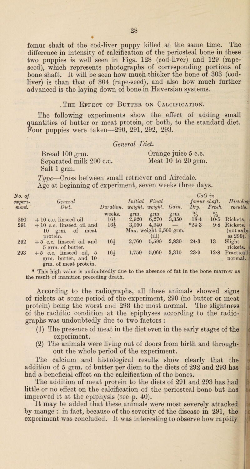 ♦ femur shaft of the cod-liver puppy killed at the same time. The difference in intensity of calcification of the periosteal bone in these two puppies is well seen in Figs. 128 (cod-liver) and 129 (rape- seed), which represents photographs of corresponding portions of bone shaft. It will be seen how much thicker the bone of 808 (cod- liver) is than that of 804 (rape-seed), and also how much further advanced is the laying down of bone in Haversian systems. .The Effect of Butter on Calcification. The following experiments show the effect of adding small quantities of butter or meat protein, or both, to the standard diet. Four puppies were taken—290, 291, 292, 298. General Diet. Bread 100 grm. Orange juice 5 c.c. Separated milk 200 c.c. Meat 10 to 20 grm. Salt 1 grm. Type—Cross between small retriever and Airedale. Age at beginning of experiment, seven weeks three days. No. of experi¬ General Initial Final CaO in femur shaft. Histology ment. Diet. Duration. weeks. weight. grm. weight. grm. Gain. grm. Dry. o/ /o Fresh< 0/ - /o results. 290 + 10 c.c. linseed oil 16* 2,920 6,270 3,350 18-4 10*5 Rickets. 291 + 10 c.c. linseed oil and 10 grm. of meat protein. 16* 3,050 4,940 — Max. weight 6,500 grm. (ill) *24-3 9-8 Rickets, i (not as bsi as 290). i 292 -1-5 c.c. linseed oil and 5 grm. of butter. 16i 2,760 5,590 2,830 24-3 13 Slight rickets. 293 + 5 c.c. linseed oil, 5 grm. butter, and 10 grm. of meat protein. 16i 1,750 5,060 3,310 23-9 12-8 Practical! \ normal, t * This high value is undoubtedly due to the absence of fat in the bone marrow as the result of inanition preceding death. According to the radiographs, all these animals showed signs of rickets at some period of the experiment, 290 (no butter or meat protein) being the worst and 298 the most normal. The slightness of the rachitic condition at the epiphyses according to the radio¬ graphs was undoubtedly due to two factors : (1) The presence of meat in the diet even in the early stages of the experiment. (2) The animals were living out of doors from birth and through¬ out the whole period of the experiment. The calcium and histological results show clearly that the addition of 5 grm. of butter per diem to the diets of 292 and 298 has had a beneficial effect on the calcification of the bones. The addition of meat protein to the diets of 291 and 298 has had little or no effect on the calcification of the periosteal bone but has improved it at the epiphysis (see p. 40). It may be added that these animals were most severely attacked i by mange : in fact, because of the severity of the disease in 291, the experiment was concluded. It was interesting to observe how rapidly 11 ct*