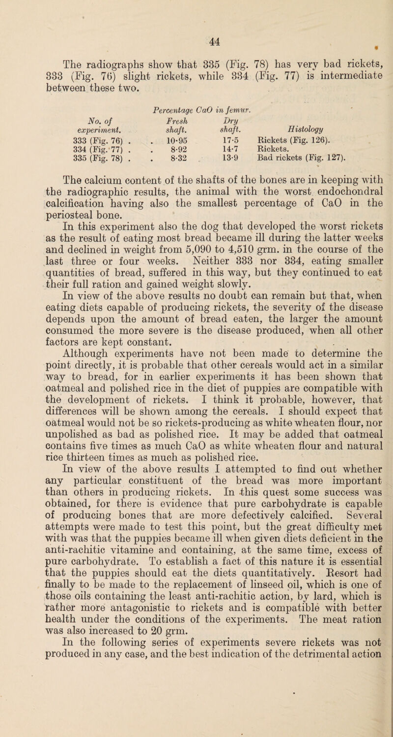 « The radiographs show that 835 (Fig. 78) has very bad rickets, 333 (Fig. 76) slight rickets, while 334 (Fig. 77) is intermediate between these two. Percentage CaO in femur. No. of Fresh Dry experiment. shaft. shaft. Histology 333 (Fig. 76) . . 10-95 17-5 Rickets (Fig. 126). 334 (Fig. 77) . 8-92 14-7 Rickets. 335 (Fig. 78) . 8-32 13-9 Bad rickets (Fig. 127). The calcium content of the shafts of the bones are in keeping with the radiographic results, the animal with the worst endochondral calcification having also the smallest percentage of CaO in the periosteal bone. In this experiment also the dog that developed the worst rickets as the result of eating most bread became ill during the latter weeks and declined in weight from 5,090 to 4,510 grm. in the course of the last three or four weeks. Neither 333 nor 334, eating smaller quantities of bread, suffered in this way, but they continued to eat their full ration and gained weight slowly. In view of the above results no doubt can remain but that, when eating diets capable of producing rickets, the severity of the disease depends upon the amount of bread eaten, the larger the amount consumed the more severe is the disease produced, when all other factors are kept constant. Although experiments have not been made to determine the point directly, it is probable that other cereals would act in a similar way to bread, for in earlier experiments it has been shown that oatmeal and polished rice in the diet of puppies are compatible with the development of rickets. I think it probable, however, that differences will be shown among the cereals. I should expect that oatmeal would not be so rickets-producing as white wheaten flour, nor unpolished as bad as polished rice. It may be added that oatmeal contains five times as much CaO as white wheaten flour and natural rice thirteen times as much as polished rice. In view of the above results I attempted to find out whether any particular constituent of the bread was more important than others in producing rickets. In this quest some success was obtained, for there is evidence that pure carbohydrate is capable of producing bones that are more defectively calcified. Several attempts were made to test this point, but the great difficulty met with was that the puppies became ill when given diets deficient in the anti-rachitic vitamine and containing, at the same time, excess of pure carbohydrate. To establish a fact of this nature it is essential that the puppies should eat the diets quantitatively. Eesort had finally to be made to the replacement of linseed oil, which is one of those oils containing the least anti-rachitic action, by lard, which is rather more antagonistic to rickets and is compatible with better health under the conditions of the experiments. The meat ration was also increased to 20 grm. In the following series of experiments severe rickets was not produced in any case, and the best indication of the detrimental action