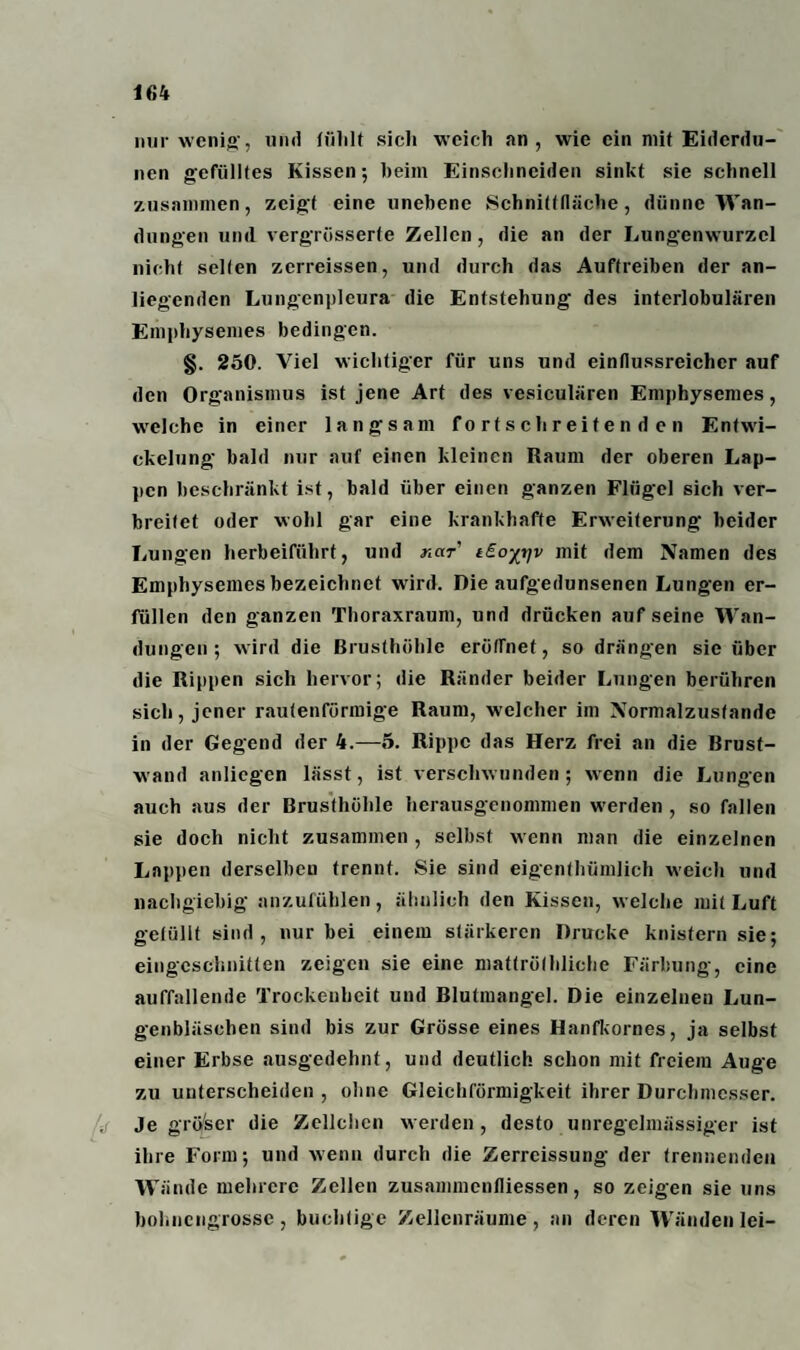 nur wenig-, und fiililt sich weich an, wie ein mit Eiderdu- nen gefülltes Kissen-, heim Einschneiden sinkt sie schnell zusammen, zeigt eine unebene Schnittfläche, dünne Wan¬ dungen und vergriisserte Zellen, die an der Lungenwurzel nicht selten zerreissen, und durch das Auftreiben der an¬ liegenden Lungenpleura die Entstehung des interlobulären Emphysemes bedingen. §. 250. Viel wichtiger für uns und einflussreicher auf den Organismus ist jene Art des vesiculären Emphysemes, welche in einer langsam fortschreitenden Entwi¬ ckelung bald nur auf einen kleinen Raum der oberen Lap¬ pen beschränkt ist, bald über einen ganzen Flügel sich ver¬ breitet oder wohl gar eine krankhafte Erweiterung beider Lungen herbeiführt, und neu' tEoyrjv mit dem Namen des Emphysemes bezeichnet wird. Die aufgedunsenen Lungen er¬ füllen den ganzen Thoraxraum, und drücken aufseine Wan¬ dungen; wird die Brusthöhle eröffnet, so drängen sie über die Rippen sich hervor; die Ränder beider Lungen berühren sich, jener rautenförmige Raum, welcher im Normalzustände in der Gegend der 4.-5. Rippe das Herz frei an die Brust¬ wand anlicgen lässt, ist verschwunden; wenn die Lungen auch aus der Brusthöhle herausgenommen werden , so fallen sie doch nicht zusammen , selbst wenn man die einzelnen Lappen derselben trennt. Sie sind eigenthümlich weich und nachgiebig anzufühlen, ähnlich den Kissen, welche mit Luft gelullt sind, nur bei einem stärkeren Drucke knistern sie; eingeschnitten zeigen sie eine mattröthliche Färbung, eine auffallende Trockenheit und Blutmangel. Die einzelneu Lun¬ genbläschen sind bis zur Grösse eines Hanfkornes, ja selbst einer Erbse ausgedehnt, und deutlich schon mit freiem Auge zu unterscheiden , ohne Gleichförmigkeit ihrer Durchmesser. Je grö'ser die Zellchcn werden , desto unregelmässiger ist ihre Form; und wenn durch die Zerreissung der trennenden Wände mehrere Zellen zusammenfliessen, so zeigen sie uns bohnengrosse, buchtige Zellenräume, an deren Wänden lei-