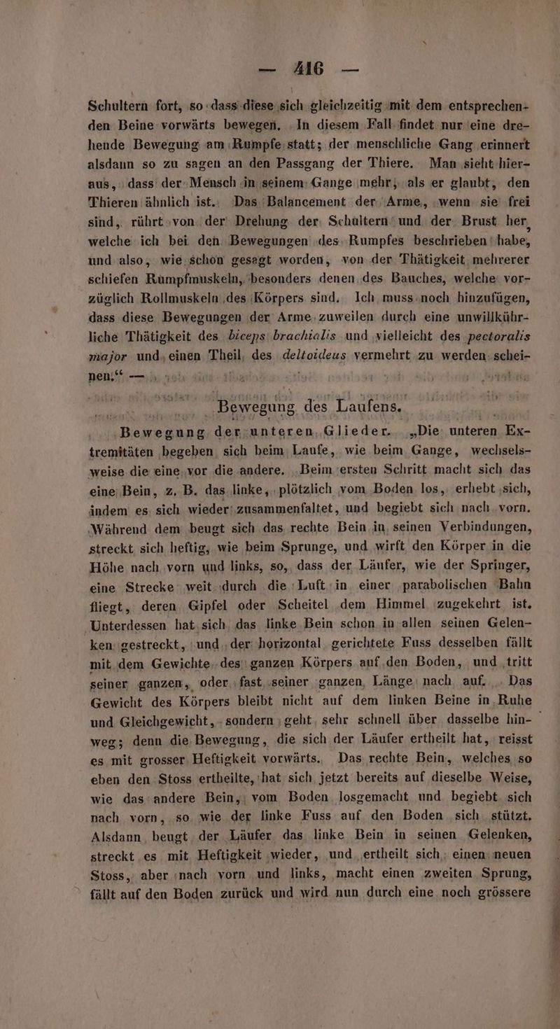 Schultern fort, ‚so :dass'.diese sich gleichzeitig mit dem entsprechen- den Beine vorwärts bewegen, ‚In diesem Fall: findet nur ieine dre- hende Bewezung am :Rumpfe: statt; der menschliche Gang erinnert alsdaun so zu sagen an den Passgang der Thiere. Man sieht hier- aus, dass’ der-Mensch in seinem: Gange mehr, als er glaubt, den Thieren ähnlich ist. ‘Das 'Balancement der ‘Arme, wenn: sie' frei sind, rührt »von. der‘ Drehung der; Schultern‘ und der. Brust. her, welche ich bei den Bewegungen des; Rumpfes beschrieben habe, und also, wie.schon gesagt worden, von der Thätigkeit, mehrerer schiefen Rumpfmuskeln, besonders denen. des Bauches, welche: vor- züglich Rollmuskeln ‚des |Körpers sind. Ich, muss.noch hinzufügen, dass diese Bewegungen der Arme. zuweilen durch eine unwillkühr- liche Thätigkeit des biceps' brachialis und ‚vielleicht des pectoralis major und,einen Theil, des deltoideus vermehrt zu werden: schei- Den; | | Bewegung des Laufens. Beirsgang der:unteren, Glieder.. „Die: unteren Ex- tremitäten ‚begeben. sich beim; Laufe, wie beim Gange, weclhsels- weise die eine,,vor die andere. ‚Beim ersten Schritt macht sich das eine:Bein, z. B. das linke, plötzlich vom ‚Boden los, erhebt ‚sich, ändem es: sich wieder‘. zusammenfaltet, und begiebt sich nach..vorn. ‚Während dem: beugt sich das rechte Bein in, seinen Verbindungen, streckt sich heftig, wie beim Sprunge, und wirft den Körper in die Höhe nach vorn und links, so,, dass der Läufer, wie der Springer, eine Strecke: weit. :durch die 'Luft in. einer ‚parabolischen Bahn fliegt, deren Gipfel oder Scheitel dem Himmel 'zugekehrt_ ist. Unterdessen hat. sich, das linke.Bein schon. in allen seinen Gelen- ken: gestreckt, und. der: horizontal gerichtete Fuss desselben fällt mit. dem Gewichte. des’ ganzen Körpers auf,den Boden, und ‚tritt seiner ganzen, oder. fast ‚seiner, ganzen, Länge‘ nach auf. . Das Gewicht des Körpers bleibt nicht auf dem linken Beine in, Ruhe und Gleichgewicht, - sondern ‚geht, sehr schnell über dasselbe hin- weg; denn die, Bewegung, die sich der Läufer ertheilt hat, reisst es mit grosser, Heftigkeit vorwärts., Das, rechte Bein, welches so eben den Stoss ertheilte, hat sich, jetzt bereits auf dieselbe Weise, wie das‘andere Bein,: vom Boden. losgemacht und. begiebt. sich nach vorn, so. wie der linke Fuss auf den Boden ‚sich ‚stützt. Alsdann, beugt der Läufer das linke Bein in seinen Gelenken, streckt es mit. Heftigkeit ‚wieder, und .ertheilt sich; einen: neuen Stoss, aber ınach ‘vorn und links, ‚macht einen zweiten Sprung, fällt auf den Boden zurück und wird nun durch eine noch grössere