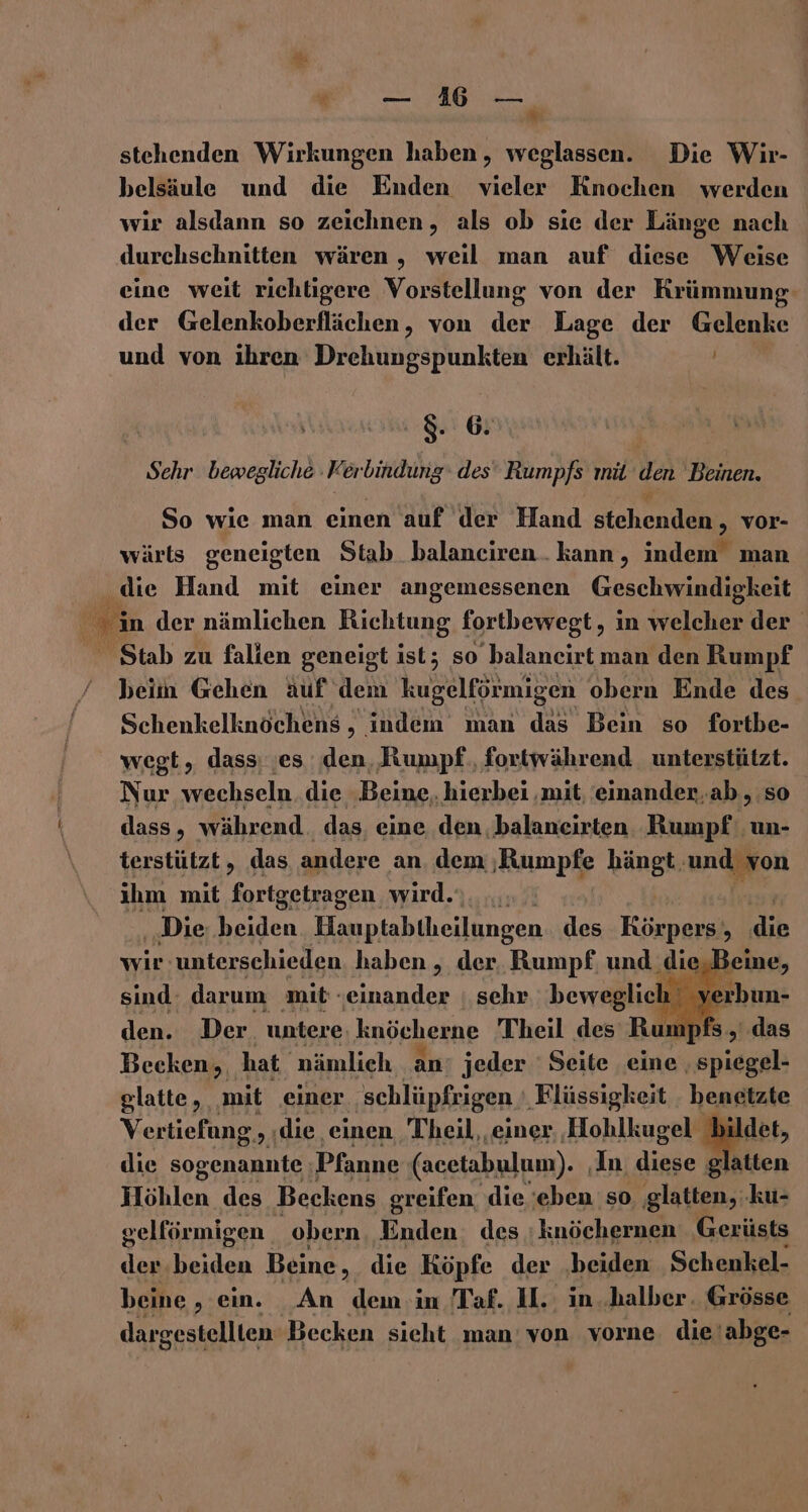 D stehenden Wirkungen haben, weglassen. Die Wir- belsäule und die Enden vieler Knochen werden wir alsdann so zeichnen, als ob sie der Länge nach durchschnitten wären , weil man auf diese Weise eine weit richtigere Vorstellung von der Krümmung der Gelenkoberflächen, von der Lage der Gelenke und von ihren Drehungspunkten erhält. ” 5. 6 Sehr bewegliche - Fer aa des Rumpfs mil‘ den ‚Beinen. So wie man einen auf der Hand stehenden: vor- wärls geneigten Stab _balanciren. kann , indent man die Hand mit einer angemessenen Geschwindigkeit Stab zu fallen geneigt ist; so balancirt man den Rumpf beim Gehen auf dem kugelförmigen obern Ende des. Schenkelknöchens, indem man das Bein so fortbe- wegt, dassı ‚es ‚den, Rumpf‘, fortwährend unterstützt. Nur wechseln die ‚Beine, hierbei ‚mit, einander, ab, so dass, während. das, eine den balaneirten Rumpf un- terstützt , das andere an dem ‚Rumpfe hängt. undpgon ihm mit fortgetragen. wird.‘.... ‚Die beiden Hauptabtheilungen des Körpers ib wir: unterschieden haben , der. Rumpf. und Rn Beine, sind darum ‚mit einander | sehr beweglich verh den. Der untere: knöcherne Theil des Rump! fs Becken, hat. nämlich an jeder ' Seite eine ‚spiegel- glatte, mit einer. ‚schlüpfrigen ‚Flüssigkeit henetzte Vertiefung, die. einen Theil, einer, ‚Hohlkugel bildet, die sogenannte Pfanne (acetabulum). ‚In. dia glatten ilöhlen des Beckens greifen die 'eben so, glatten, ‚ku- gelförmigen obern Enden. des :knöchernen ‚Gerüsts der beiden Beine, die Köpfe der ‚beiden Schenkel- beine , ein. An dem:in Taf. I. in..halber. Grösse dargestellten Becken sicht man’ von vorne. die‘ abge-