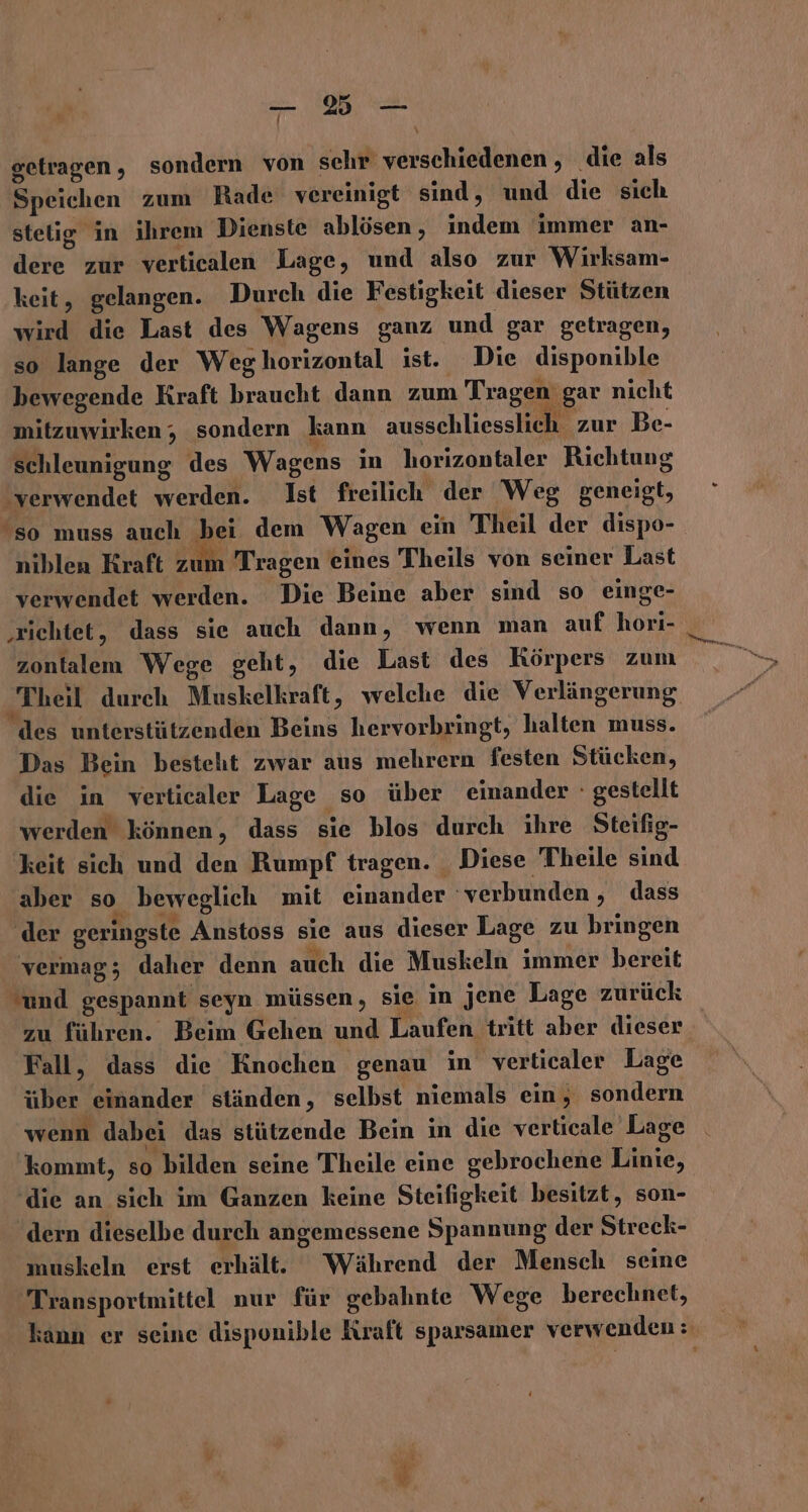 = getragen, sondern von sehr verschiedenen , die als Speichen zum Rade vereinigt sind, und die sich stelig in ihrem Dienste ablösen, indem immer an- dere zur verticalen Lage, und also zur Wirksam- keit, gelangen. Durch die Festigkeit dieser Stützen wird die Last des Wagens ganz und gar getragen, so lange der Weghorizontal ist. Die disponible bewegende Kraft braucht dann zum Tragen gar nicht mitzuwirken; sondern kann ausschliesslich. zur Be- schleunigung des Wagens in horizontaler Richtung verwendet werden. Ist freilich der Weg geneigt, so muss auch bei dem Wagen ein Theil der dispo- niblen Kraft zum Tragen eines Theils von seiner Last verwendet werden. Die Beine aber sind so einge- ‚richtet, dass sie auch dann, wenn man auf hori- zontalem Wege geht, die Last des Körpers zum Theil durch Muskelkraft, welche die Verlängerung des unterstützenden Beins hervorbringt, halten muss. Das Bein besteht zwar aus mehrern festen Stücken, die in verticaler Lage so über einander - gestellt werden können, dass sie blos durch ihre Steifig- keit sich und den Rumpf tragen. _ Diese Theile sind aber so beweglich mit einander ‘verbunden , dass der geringste Anstoss sie aus dieser Lage zu bringen vermag; daher denn auch die Muskeln immer bereit und gespannt seyn müssen, sie in jene Lage zurück zu führen. Beim Gehen und Laufen tritt aber dieser Fall, dass die Knochen genau in verticaler Lage über einander ständen, selbst niemals ein, sondern wenn dabei das stützende Bein in die verticale Lage kommt, so bilden seine Theile eine gebrochene Linie, ‘die an sich im Ganzen keine Steifigkeit besitzt, son- dern dieselbe durch angemessene Spannung der Streck- muskeln erst erhält. Während der Mensch seine Transportmittel nur für gebahnte Wege berechnet, kann er seine disponible Kraft sparsamer verwenden: