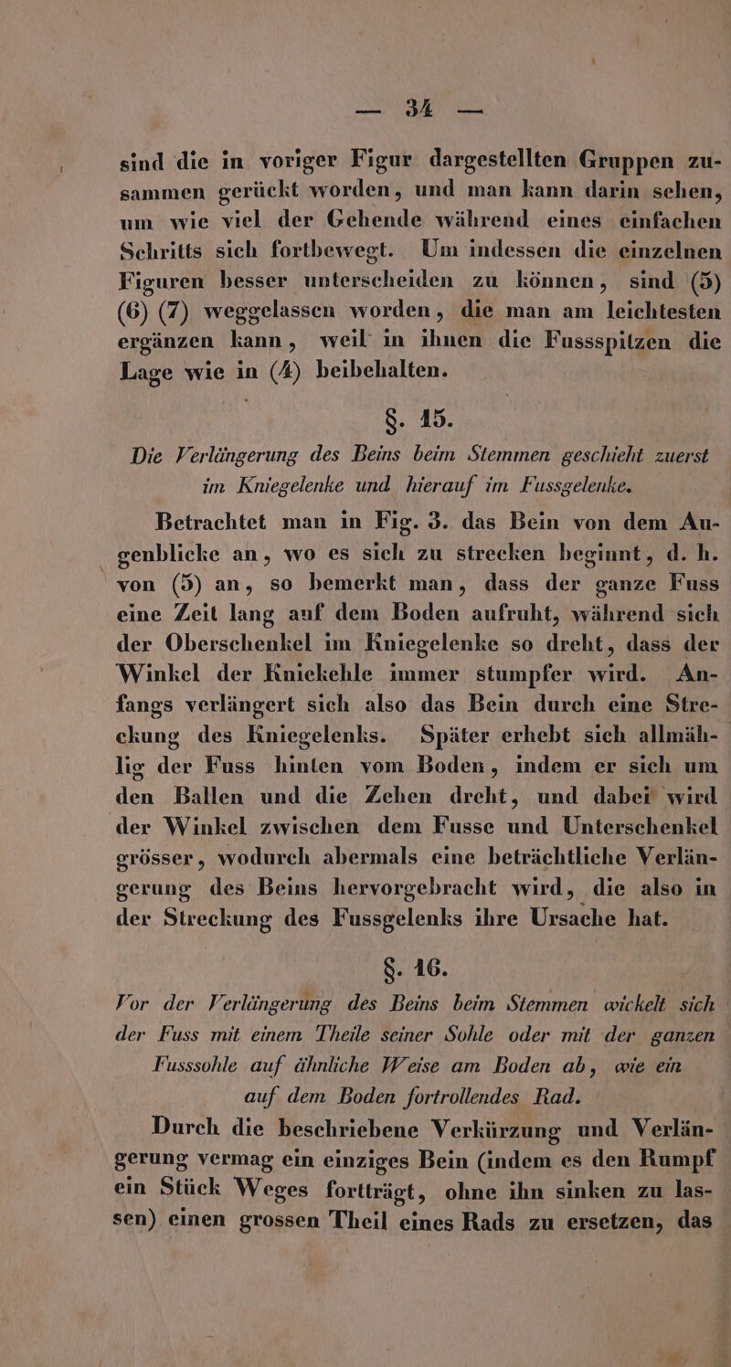 Een sind die in voriger Figur dargestellten Gruppen zu- sammen gerückt worden, und man kann darin sehen, um wie viel der Gehende während eines einfachen Schritts sich fortbewegt. Um indessen die einzelnen Figuren besser unterscheiden zu können, sind (5) (6) (7) weggelassen worden, die man am leichtesten ergänzen kann, weil’ in ihnen die Fussspitzen die Lage wie in (A) beibehalten. 8. 15. Die Verlängerung des Beins beim Stemmen geschieht zuerst im Kniegelenke und hierauf im Fussgelenke. Betrachtet man in Fig. 3. das Bein von dem Au- genblicke an, wo es sich zu strecken beginnt, d. h. von (5) an, so bemerkt man, dass der ganze Fuss eine Zeit lang auf dem Boden aufruht, während sich der Oberschenkel im Kniegelenke so dreht, dass der Winkel der Knickehle immer stumpfer wird. An- fangs verlängert sich also das Bein durch eine Stre- ckung des Kniegelenks. Später erhebt sich allmäh- lig der Fuss hinten vom Boden, indem er sich um den Ballen und die Zehen dreht, und daber wird der Winkel zwischen dem Fusse und Unterschenkel grösser, wodurch abermals eine beträchtliche Verlän- gerung des Beins hervorgebracht wird, die also in der Streckung des Fussgelenks ihre Ursache hat. 8. 16. ’or der Verlängerung des Beins beim Stemmen wickelt sich der Fuss mit einem Theile seiner Sohle oder mit der ganzen Fusssohle auf ähnliche Weise am Boden ab, wie ein auf dem Boden fortrollendes Rad. Durch die beschriebene Verkürzung und Verlän- gerung vermag ein einziges Bein (indem es den Rumpf ein Stück Weges fortträgt, ohne ihn sinken zu las- sen) einen grossen Theil eines Rads zu ersetzen, das