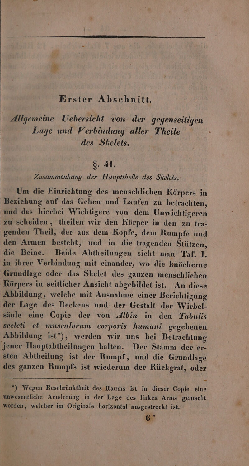 Erster Abschnitt. Allgemeine Uebersicht von der gegenseitigen Lage und Werbindung aller Theile des Skelets. 8. 4. Zusammenhang der Haupttheile des Skelets. Um die Einrichtung des menschlichen Körpers in Beziehung auf das Gehen und Laufen zu betrachten, und das hierbei Wichtigere von dem Unwichtigeren zu scheiden, theilen wir den Körper in den zu tra- genden Theil, der aus dem Kopfe, dem Rumpfe und den Armen besteht, und in die tragenden Stülzen, die Beine. Beide Abtheilungen sieht man Taf. 1. in ihrer Verbindung mit einander, wo die knöcherne Grundlage oder das Skelet des ganzen menschlichen Körpers in seitlicher Ansicht abgebildet ist. An diese Abbildung, welche mit Ausnahme einer Berichtigung der Lage des Beckens und der Gestalt der Wirbel- säule eine Copie der von Albin in den Tabulis sceleti et musculorum corporis humani gegebenen, Abbildung ist”), werden wir uns bei Betrachtung jener Hauptabtheilungen halten. Der Stamm der er- sten Abtheilung ist der Rumpf, und die Grundlage ‚des ganzen Rumpfs ist wiederum der Rückgrat, oder *) Wegen Beschränktheit des Raums ist in dieser Copie eine unwesentliche Aenderung in der Lage des linken Arms gemacht worden, welcher im Originale horizontal ausgestreckt ist.