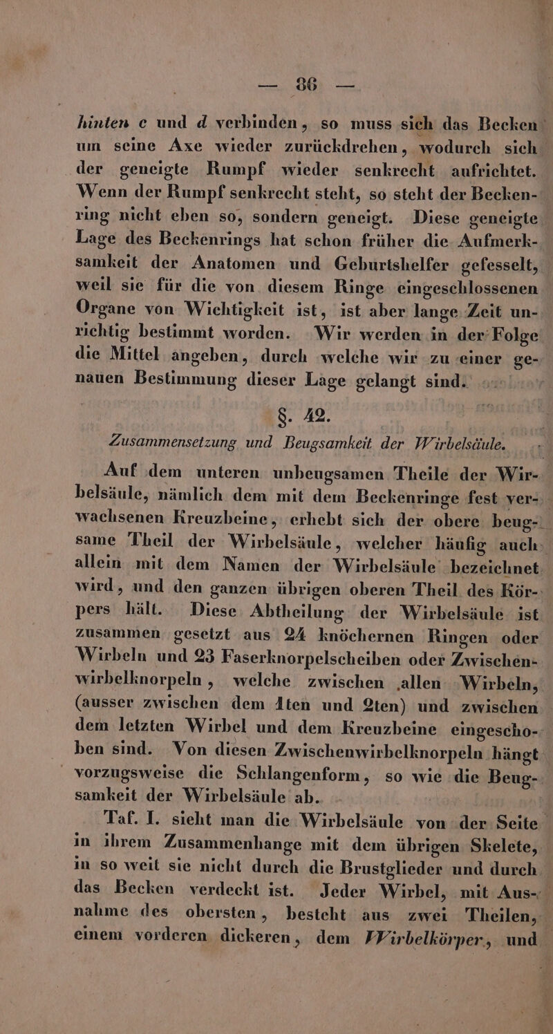 hinten ce und d verbinden, so muss sich das Becken um seine Axe wieder zurückdrehen , wodurch sich der geneigte Rumpf wieder senkrecht aufrichtet. Wenn der Rumpf senkrecht steht, so steht der Becken- ring nicht eben so, sondern geneigt. Diese geneigte Lage des Beckenrings hat schon früher die Aufmerk- samkeit der Anatomen und Geburtshelfer gefesselt, weil sie für die von. diesem Ringe eingeschlossenen Organe von Wichtigkeit ist, ist aber lange: Zeit un- richtig bestimmt worden. Wir werden in der: Folge die Mittel angeben, durch ‘welche wir zu einer ge- nauen Bestimmung dieser Lage gelangt sind. 8. 48. Zusammensetzung und Beugsamkeit der Wirbelsäule. Auf ‚dem unteren unbeugsamen Theile der Wir- belsäule, nämlich dem mit dem Beckenringe fest ver- wachsenen Kreuzbeine, erhebt sich der obere beug-. same Theil der Wirbelsäule, welcher häufig auch» allein mit dem Namen der Wirbelsäule’ bezeichnet. wird, und den ganzen übrigen oberen Theil des Kör-: pers hält. Diese. Abtheilung der Wirbelsäule: ist zusammen gesetzt aus 24 knöchernen Ringen oder Wirbeln und 93 Faserknorpelscheiben oder Zwischen- wirbelknorpeln , welche zwischen ‚allen Wirbeln,. (ausser zwischen dem Aten und 2ten) und zwischen dem letzten Wirbel und dem Kreuzbeine eingescho-: ben sind. Von diesen Zwischenwirbelknorpeln ‚hängt: vorzugsweise die Schlangenform, so wie die Beug- samkeit der Wirbelsäule ab. | Taf. I. sieht man die Wirbelsäule von der Seite in ihrem Zusammenhange mit dem übrigen Skelete, in so weit sie nicht durch die Brustglieder und durch. das Becken verdeckt ist. Jeder Wirbel, mit Aus- nalıme des obersten, besteht aus zwei Theilen, einem vorderen. dickeren, dem Wirbelkörper, und