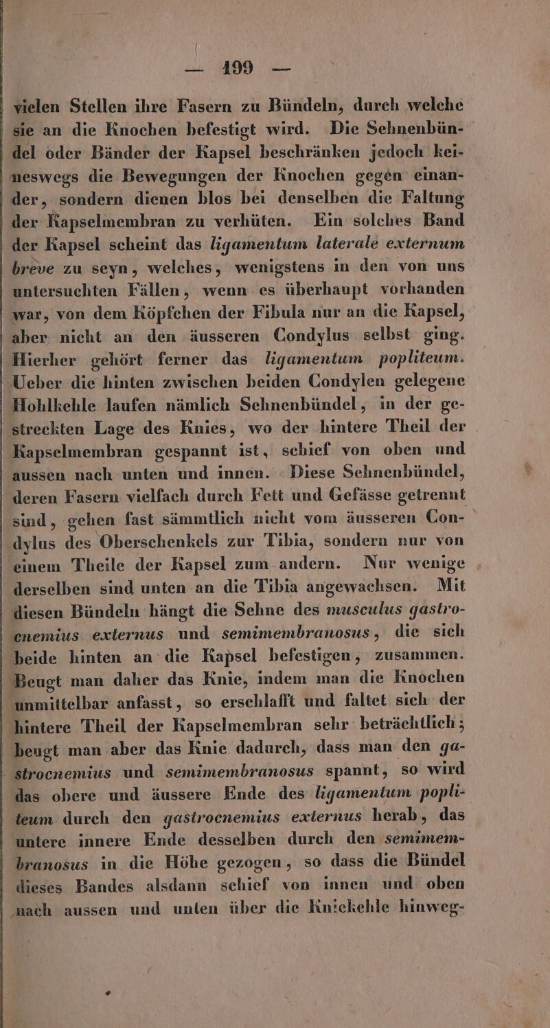 vielen Stellen ihre Fasern zu Bündeln, durch welche sie an die Knochen befestigt wird. Die Schnenbün- del oder Bänder der Kapsel beschränken jedoch kei- neswegs die Bewegungen der Knochen gegen einan- der, sondern dienen blos bei denselben die Faltung der Kapselmembran zu verhüten. Ein solches Band der Kapsel scheint das ligamentum laterale exiernum breve zu seyn, welches, wenigstens in den von uns untersuchten Fällen, wenn es überhaupt vorhanden war, von dem Köpfchen der Fibula nur an die Kapsel, aber nicht an den äusseren Condylus selbst ging. Hierher gehört ferner das ligamentum popliteum. Ueber die hinten zwischen beiden Condylen gelegene Hohlkehle laufen nämlich Sehnenbündel, in der ge- 'streckten Lage des Knies, wo der hintere Theil der Kapselmembran gespannt ist, schief von oben und aussen nach unten und innen. Diese Sehnenbündel, deren Fasern vielfach durch Fett und Gefässe getrennt sind, gehen fast sämmtlich nicht vom äusseren CGon- dylus des Oberschenkels zur Tibia, sondern nur von einem Theile der Kapsel zum andern. Nur wenige _ derselben sind unten an die Tibia angewachsen. Mit | diesen Bündeln hängt die Sehne des musculus gastro- | enemius externus und semimembranosus, die sich beide hinten an die Kapsel befestigen, zusammen. Beugt man daher das Knie, indem man die Knochen unmittelbar anfasst, so erschlafft und faltet sich der ' hintere Theil der Kapselmembran sehr beträchtlich ; beugt man aber das Knie dadurch, dass man den ga- strocnemius und semimembranosus spannt, so wird das obere und äussere Ende des ligamentum popli- ' teum durch den gasirocnemius externus herab, das untere innere Ende desselben durch den semimem- branosus in die Höhe gezogen, so dass die Bündel dieses Bandes alsdann schief von innen und oben nach aussen und unten über die Knickehle hinweg-