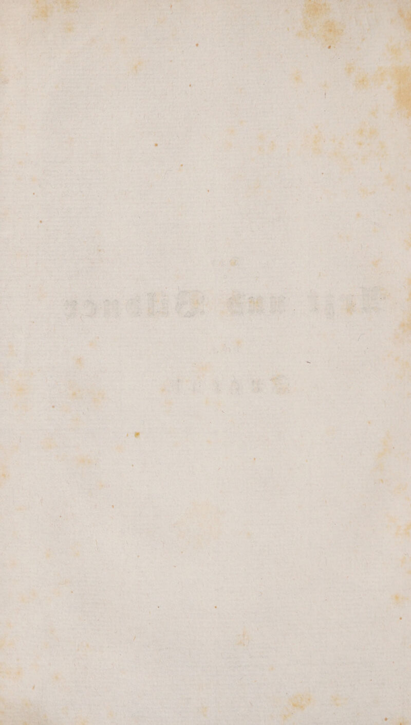 tw; a“ ee” a n r 95 a