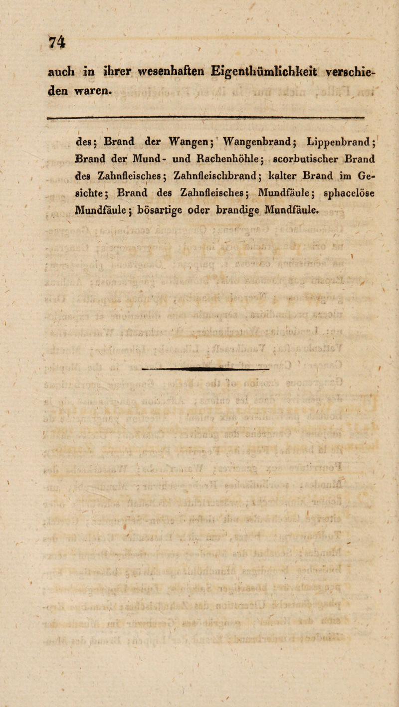 t auch in ihrer wesenhaften Eigentümlichkeit verschie¬ den waren. des; Brand der Wangen; Wangenbrand; Lippenbrand; Brand der Mund- und Rachenhöhle; scorbutischer Brand des Zahnfleisches; Zahnfleischbrand: kalter Brand im Ge- I sichte; Brand des Zahnfleisches; Mundfäule; sphacelöse Mundfäule; bösartige oder brandige Mundfäule. r * /