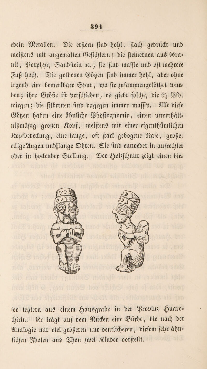 91 pfeifen 5 e3 ift bem ber übrigen Wirten smar fefyr äßnlid), aber ein etmaS geübte^ Dßr tarn atfobatb unterfdjeiben, t>on n>elc^er e$ tjerrüßrt, mm plößltd) biefe bttrd)brtngenben Sone bie reine $unatuft burd)fdjneiben, nnb and) ba3 fdjärffte 9luge bie Spiere fetbft nid)t entbeden famt. 9Ud)t feiten begegnet man anf ben£>od)ebenen oereinsel* ten 23icuna3, betten man ftd) leidjt nähern fattn nnb bie, menn fte and) bie gtudjt ergreifen, bod) halb ermattet fielen bleiben. 2)ie Snbianer nennen fte »Vicunas aguzanadas« nnb behaupten, fte feien fo ^aßm, weit fte oon Sßürment ^erfreffen merben. 3d) habe mid) oon ber 9vid)tigfeit biefer Angabe überzeugt, benn bei einem folgen Spiere, ba3 id) mit ben Sßurffugeln fing, mar bie £eber gan$ oon (Singer meibemnrmern ^erftert. 3)ie feud)ten SOSeiben mögen oor* $üglidj an biefer älranfßeit ©d)ulb fein 5 and) lefyrt bie fal)rnng, baß man nnr in ber naffen Saßre^eit VicmTas aguzanadas ftnbet. 2) ie $icuna3 ßaben, mie ißre ©attunggoermanbten, bie ©emoßnßeit ißre Umgebungen mit (Reifer nnb ßalboerbautem gntter §n bemerfen. 2)ie Hamas nnb $uanacuS ttmn eS in ber Siegel nnr, menn fte gereift merben; bie SStcunaS hingegen nnb bie 2llpacoS befpeien and) ben ßarmloS SSorübergeßen* ben nnb fielen gemoßnlid) nad) bem @eftd)te, bad fte nur feiten fehlen. 3)er breiige 2luSttmrf ried)t efetßaft nnb färbt bie <§aut ftarf grün, fo baß man fte nur mit 2Dtttf)e reini¬ gen fann. 3) ie 3nbtaner bebienen ftd) nur fetten ber geuergemeßre, um bie SSicuftaö §u erlegen, 6ie fangen fte im fogenannten Qtßacu, im Monate 2lprit ober 9ftat, menn bie *ßferbe oon ber SBintermeibe fommen. 3\i biefen fonberbaren 3ag^