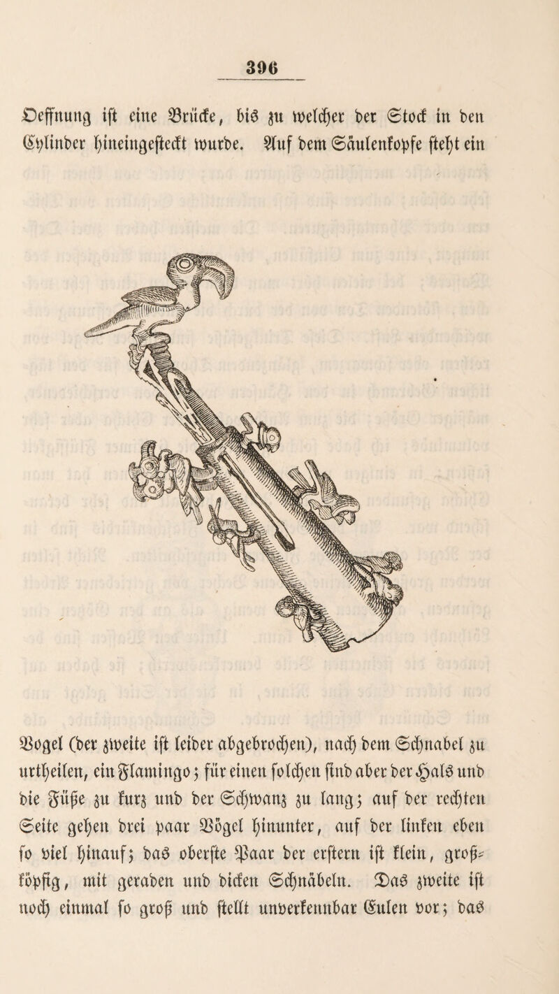 140 alles nid)t burdj Eontrebanbe auSgeführte (Silber nad) bet ^außtftabt gebraut. 3n ben ^Dörfern £)brajillo unb (Santa tt>of)nen bie Eigentümer großer beerben (Recuas) non WlauU toteren, rnetc^e bie «^anbelsnerbinbung z^ifdjen beiben (Stab* ten unterhalten. £)aS in Darren gefd)tnolzene (Silber tntrb ben 2(rrieroS gegen einfachen Empfangfdjein jugeftellt, unb fte bringen Labungen non mehreren 100,000 Scalern an Söerth, o^ne Begleitung ber Eigentümer ober mÜitärifcC;e Bebedung, nad) £ima. (Sie ftnb ben Angriffen ber (Straßen* raubet nid)t auSgefeßt, benn biefe nehmen bie ferneren ge* ftentpelten Barren nicht tneg. OaS gemünzte (Silber f)in* gegen tnirb non ber ^auptftabt bis nach £lattga ober (Santa Olofa be Dmibe non (Solbaten eScortirt, bie freitid) nicht immer im Stanbe ftnb bie Sftduberangriffe non zahlreichen ^orben non Negern zurücfzufd)lagen. 9?ad) £)ften führt burch bie Duebraba be ^uarriaca ber 2ßeg nad) bem feßr bekannten (Stdbtcßen §uanuco unb ben SBälbern ber ^uallaga. 9£ach korben geht eine 6traße über baS ganz §erftörte, burch feiue Ruinen auS ber Sncazeit aber eines ber merftnürbigften Dörfer non $eru, «^uanuco el Biejo nad) «§uaraz unb non ba nad) ber ■ftorbfüjie. ®en 6üben zieht ftdj ber 2öeg über bie §od)* ebenen nach £arma, Saufa.unb ben übrigen <Süb:proninzen. 3n bem früher fo reichen 3)orfe $aSco trennen ftd) bie beiben (Straßen nad) £ima unb £arma. Ü)ie erftere führt über ben Bamipa be Bombon unb ben 2)iezmo nad) bem Buffe ber Biuba; ber anbere über ben £ambo ^inacaca (12,853 guß ü. 901.) unb baS £)brfdjen Earhuamatyo (13,087 guß ü. ) nad) Sunin, in geringer Entfernung non einem fefjr großen «See, beffen Spiegel 13,000 guß