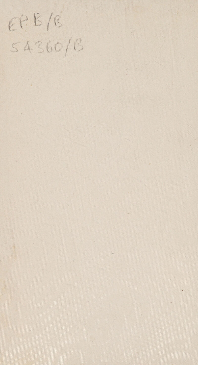 I., fL £ \ 1 y | n V-'