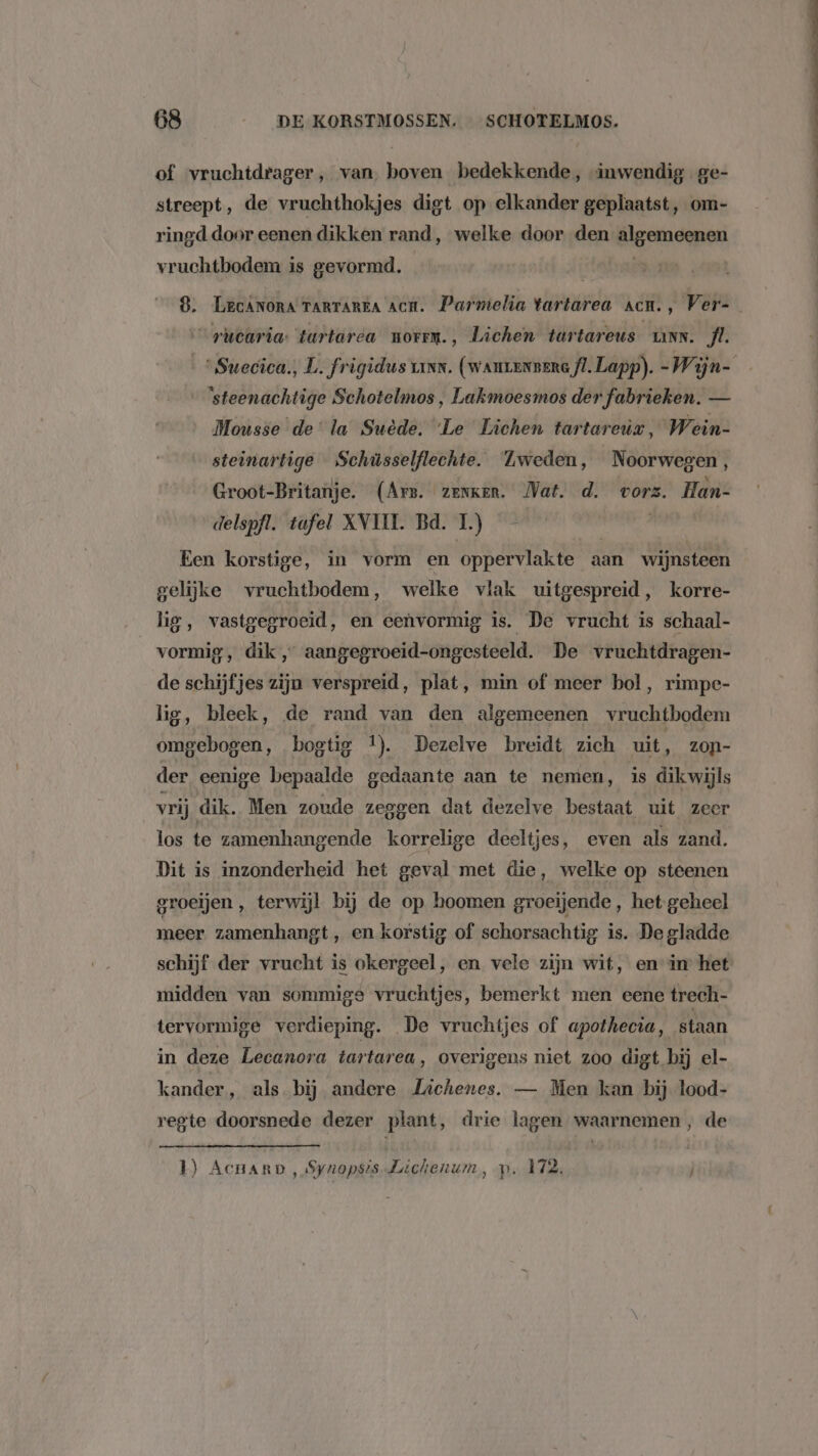 of vruchtdrager, van, boven bedekkende, inwendig ge- streept, de vruchthokjes digt op elkander geplaatst, om- ringd door eenen dikken rand, welke door den algemeenen vruchtbodem is gevormd. 8. LecÂNora TARTAREA Acm. Parmelia tartarea acu., Ver- _rucaria: tartarea norrm., Lichen turtareus vann. fl. steenachtige Schotelmos , Lakmoesmos der fabrieken. — Mousse de la Suède. ‘Le Lichen tartareur, Wein- steinartige Schüsselflechte. Lweden, Noorwegen, Groot-Britanje. (Arn. zerken. Vat. d. vorz. Han- delspfl. tafel XVIII. Bd. 1.) | Een korstige, in vorm en oppervlakte aan wijnsteen gelijke vruchtbodem, welke vlak uitgespreid, korre- lig, vastgegroeid, en eenvormig is. De vrucht is schaal- vormig, dik,” aangegroeid-ongesteeld. De vruchtdragen- de schijfjes zijn verspreid, plat, min of meer bol, rimpe- lig, bleek, de rand van den algemeenen vruchtbodem omgebogen, bogtig 1}. Dezelve breidt zich uit, zon- der eenige bepaalde gedaante aan te nemen, is dik wijls vrij dik. Men zoude zeggen dat dezelve bestaat uit zeer los te zamenhangende korrelige deeltjes, even als zand. Dit is inzonderheid het geval met die, welke op steenen groeïjen , terwijl bij de op hoomen groeijende, het geheel meer zamenhangt , en korstig of schorsachtig is. De gladde schijf der vrucht is okergeel, en vele zijn wit, en in het midden van sommige vruchtjes, bemerkt men eene trech- tervormige verdieping. De vruchtjes of apothecia, staan in deze Lecanora tartarea, overigens niet zoo digt bij el- kander, als. bij andere Lachenes. — Men kan bij lood- regte doorsnede dezer plant, drie lagen waarnemen, de 1) Acnarp , Synopsis Lichenum, p. 172, del ne ted