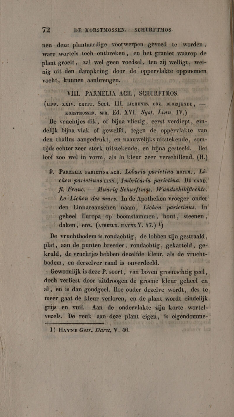 nen …deze plantaardige voorwerpen. gevoed te worden „ ware wortels toch- ontbreken , en het graniet. waarop de plant groeit, zal wel geen voedsel, ten zij welligt, wel- nig uit den. dampkring door de vopperrlaktk opgenomen vocht, kunnen aanbrengen. VII. PARMELIA ACH., SCHURFTMOS. (uns. XXIV. cRYPT. Sect. IL, zicHenes, ONz. BLOEIJENDE, — KoRsTMOSSEN. sPR. Ed. XVI. Syst. Linn. IV.) _De vruchtjes dik, of bijna vliezig, eerst verdiept, ein- delijk bijna vlak of gewelfd, tegen de oppervlakte van den thallus aangedrukt, en naauwelijks uitstekende, som- tijds echter zeer sterk uitstekende, en bijna gesteeld. Het loof zoo wel in vorm, als in kleur zeer verschillend. (HL) B. PaRrMetra PARIETINA AcH. Lobaria parietina norrm., Li- chen parietinus 1inn., Tmbricaria parietina. De cAND. fl. Franc. — Muúrig Schurftmgs. Wandschildflechte. Le Lichen des murs. In de Apotheken vroeger onder den Linnaeaanschen naam, Lichen parietinus. In geheel Europa op boomstammen, hout, steenen, „daken, enz. (Arseen. navne V. 47.) f) De vruchtbodem is rondachtig, de lobben zijn gestraald, plat, aan de punten breeder, rondachtig, gekarteld, ge- kruld, de vruchtjes hebben dezelfde kleur, als de vrucht- bodem, en derzelver rand is onverdeeld. ede „Gewoonlijk is deze P. soort, van boven groenachtig geel, doch verliest door uitdroogen de groene kleur geheel en al, en is dan goudgeel. Hoe ouder dezelve wordt, des te, meer gaat de kleur verloren, en de plant wordt eindelijk grijs en vuil. Aan de ondervlakte zijn korte wortel- vezels. De reuk aan deze plant eigen, is cigendomme-