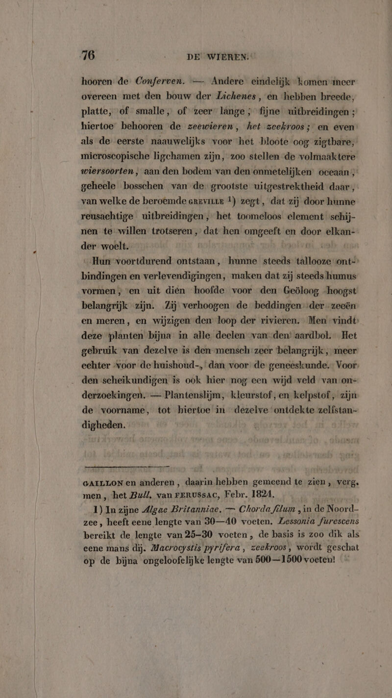hooren de Conferven. — Andere eindelijk komen neer overeen met den bouw der Lichenes , en ‘hebben breede, platte, of smalle, of zeer lange; fijne uitbreidingen ; hiertoe behooren de zeewieren, het zeekroos; en even als de eerste naauwelijks voor het bloöte oog zigtbare, mieroscopische ligchamen zijn, zoo stellen de volmaaktere wiersoorten, aan den bodem van den onmetelijken’ oceaan ;’ geheele bosschen van de grootste uitgestrektheid daar ,- van welke de beroemde ereviure tf) zegt, dat zij door hunne reusachtige uitbreidingen, het tonmeloos element schij- nen te willen trotseren, dat hen omgeeft en door elkan- der woelt | ld Hun voortdurend ontstaan, hunne steeds tallooze ont- bindingen en verlevendigingen, maken dat zij steeds humus vormen , «en _ uit dien hoofde voor den Geöloog hoogst belangrijk zijn. Zij verhoogen de beddingen der zeoën en meren, en wijzigen den loop der rivieren. Men vindt: deze planten bijna in alle deelen van den’ aardbol. Het gebruik van dezelve is den-mensch zeer ‘belangrijk, meer echter “voor de huishoud-, dan voor de geneeskunde. Voor: den scheikundigen is ook hier nog een wijd veld van-on= derzoekingen. — Plantenslijm, kleurstof, en kelpstof , zijn de voorname, tot hiertoe in dezelve ontdekte zelfstan- digheden. mn GAILLON en anderen, daarin hebben gemeend te zien, verg. men , het Bull, van FERUSSAC, Febr. 1824, 1) In zijne Algae Britanniae. — Chorda fû Jun, in de Noord- zee, heeft eene lengte van 30—40 voeten. Whole Jurescens bereikt de lengte van 25-30 voeten, de basis is zoo dik als eene mans dij. Macrocystis pyrifera , zeekroos, wordt geschat op de bijna ongeloofelijke lengte van 500—1500 voeten!