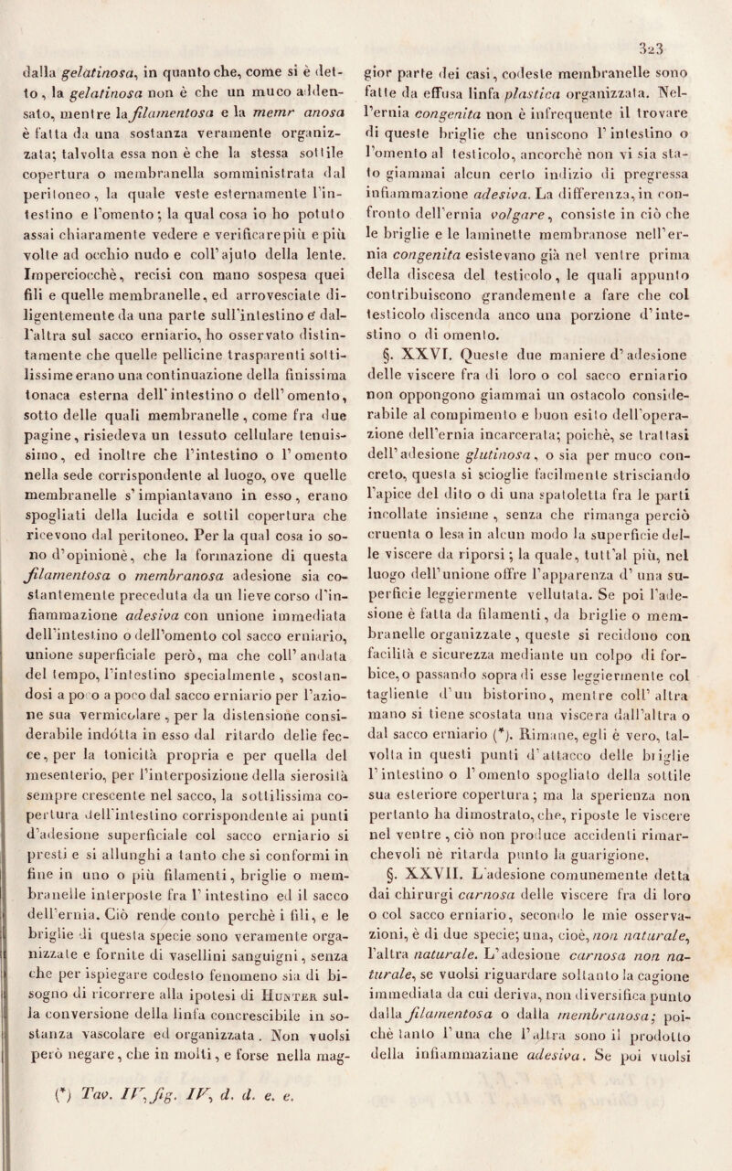 to , la gelatinosa non è che un muco adden¬ sato, mentre la filamentosa e la memr anosa è fatta da una sostanza veramente organiz¬ zata; talvolta essa non è che la stessa sottile copertura o membranella somministrata dal peritoneo, la quale veste esternamente l’in- testino e Tomento; la qual cosa io ho potuto assai chiaramente vedere e veri fica re più e più volte ad occhio nudo e coll’ajuto della lente. Imperciocché, recisi con mano sospesa quei fili e quelle membranelle, ed arrovesciate di¬ ligentemente da una parte sulTintestino e' dal¬ l'altra sul sacco erniario, ho osservato distin¬ tamente che quelle pellicine trasparenti sotti¬ lissime erano una continuazione della finissima tonaca esterna dell'intestino o dell’omento, sotto delle quali membranelle, come fra due pagine, risiedeva un tessuto cellulare tenuis¬ simo, ed inoltre che l’intestino o l’omento nella sede corrispondente al luogo, ove quelle membranelle s’impiantavano in esso, erano spogliati della lucida e soltil copertura che ricevono dal peritoneo. Perla qual cosa io so¬ no d’opinionè, che la formazione di questa _filamentosa o membranosa adesione sia co¬ stantemente preceduta da un lieve corso d’in¬ fiammazione adesiva con unione immediata dell’intestino o dell’omento col sacco erniario, unione superficiale però, ma che coll’andata del tempo, l’intestino specialmente, scostan¬ dosi a po o a poco dal sacco erniario per l’azio¬ ne sua vermicolare , per la distensione consi¬ derabile indótta in esso dal ritardo delie fec¬ ce, per la tonicità propria e per quella del mesenterio, per l’interposizione della sierosità sempre crescente nel sacco, la sottilissima co¬ pertura dell’intestino corrispondente ai punti d’adesione superficiale col sacco erniario si presti e si allunghi a tanto che si conformi in fine in uno o più filamenti, briglie o mem¬ branelle interposte fra T intestino ed il sacco dell’ernia. Ciò rend/e conto perchè i fili, e le briglie di questa specie sono veramente orga¬ nizzale e fornite di vasellini sanguigni, senza che per ispiegare codesto fenomeno sia di bi¬ sogno di ricorrere alla ipotesi di Huntbr sul¬ la conversione della linfa concrescibile in so¬ stanza vascolare ed organizzata . Non vuoisi peto negare, che in molti, e forse nella mag¬ 323 fatte da effusa linfa plastica organizzata. Nel¬ l’ernia congenita non è infrequente il trovare di queste briglie che uniscono l’intestino o l’omento al testicolo, ancorché non vi sia sta¬ to giammai alcun certo indizio di pregressa infìa turnazione adesiva. La differenza, in con¬ fronto dell’ernia volgare, consiste in ciò che le briglie e le laminette membranose nell’er¬ nia congenita esistevano già nel ventre prima della discesa del testicolo, le quali appunto contribuiscono grandemente a fare che col testicolo discenda anco una porzione d’inte¬ stino o di omento. §. XXVI. Queste due maniere d’ adesione delle viscere fra di loro o col sacco erniario non oppongono giammai un ostacolo conside¬ rabile al compimento e buon esito dell’opera¬ zione dell’ernia incarcerata; poiché, se trattasi dell’ adesione glutinosa , o sia per muco con¬ creto, questa si scioglie facilmente strisciando l’apice del dito o di una spatoletta fra le parti incollate insieme , senza che rimanga perciò cruenta o lesa in alcun modo la superficie del¬ le viscere da riporsi ; la quale, tutt’al più, nel luogo dell’unione offre l’apparenza d’ una su¬ perficie leggiermente vellutata. Se poi l’ade¬ sione è fatta da filamenti, da briglie o mem¬ branelle organizzate, queste si recidono con facilità e sicurezza mediante un colpo «li for¬ bice^ passando sopra di esse leggiermente col tagliente d un bistorino, mentre coll’altra mano si tiene scostata una viscera dall’altra o dal sacco erniario (*). Rimane, egli è vero, tal¬ volta in questi punti d’attacco delle briglie l’intestino o Tomento spogliato della sottile sua esteriore copertura; ma la sperienza non pertanto ha dimostralo,che, riposte le viscere nel ventre , ciò non produce accidenti rimar¬ chevoli nè ritarda punto la guarigione. §. XXVII. L adesione comunemente detta dai chirurgi carnosa delle viscere fra di loro o col succo erniario, secondo le mie osserva¬ zioni, è di due specie; una, cioè, non naturale, l’altra naturale. L’adesione carnosa non na¬ turale, se vuoisi riguardare soltanto la cagione immediata da cui deriva, non diversifica punto dalla filamentosa o dalla membranosa ; poi¬ ché tanto Tuna che l’altra sono il prodotto della infiammaziane adesiva. Se poi vuoisi