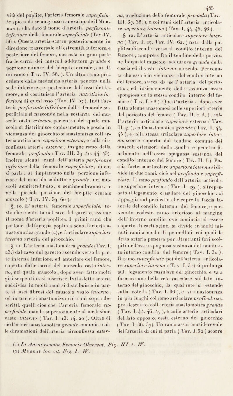 ■vita del poplite, l’arleria femorale superficia¬ le spicca da se un grosso ramo al quale il Mur¬ ray (i) ha dato il nome d’arteria perforante inferiore della fernora le superficiale (Tav.LV. 56 ). Questa arteria scorre posteriormente in direzione trasversale all’estremità inferiore, e posteriore del femore, nascosta in gran parte fra le carni dei muscoli adduttore grande e porzione minore del bici pi le crurale , cui dà un ramo ( Tav. IV. 58. ). Un altro ramo pro¬ cedente dalla medesima arteria penetra nella sede inferiore, e posteriore dell'osso del fe¬ more, e si costituisce l’arteria nutritizia in¬ feriore di quest’osso ( Tav. IV. 5^ ). Indi l’ar¬ teria perforante inferiore dalla femorale su¬ perficiale si nasconde nella sostanza del mu¬ scolo vasto esterno, per entro del quale mu* scolo si distribuisce copiosamente, e poscia in vicinanza del ginocchio si anastomizza coll'ar¬ teria articolare superiore esterna, e colla cir¬ conflessa arteria esterna , insigne ramo della femorale profonda (Tav. 111. 39 4°- 44- 4^)* Inoltre alcuni rami dell'arteria perforante inferiore della femorale superficiale, di cui si parla , si impiantano nella porzione infe¬ riore del muscolo adduttore grande, nei mu¬ scoli semi lendinoso, e semimembranoso, e nella picciola porzione del bicipite crurale muscolo ( Tav. IV. 5q 6o ). §. io. L’ arteria femorale superficiale, to¬ sto che è entrata nel cavo del garello, assume il nome d’arteria poplitea. I primi rami che partono dall’arteria poplitea sono,l’arteria a- nastomotica grande (2), e l’articolare superiore interna arteria del ginocchio. §. 1 1. L’arteria anastomotica grande (Tav. I. 23.) dal cavo del garetto ascende verso la par¬ te interna inferiore, ed anteriore del femore, coperta dalle carni del muscolo vasto infer¬ ito>, nel quale muscolo, dopo aver fallo molti giri serpentini, si inserisce. Ivi la delta arteria suddivisa in molti rami si distribuisce in par¬ te ai fasci fibrosi del muscolo vasto interno, od in parie si anastomizza coi rami sopra de¬ scritti, quelli cioè che l’arteria femorale su¬ perficiale manda superiormente al medesimo vasto interno ( Tav. I. i3. 14. 20 ). Oltre di ciò l’arteria anastomotica grande comunica col¬ le diramazioni dell’arteria circonflessa ester- (1) In Aneury striala Femoris Oh servai, Fig. (2) Murray loc. cit. Fig, 1. W. 485 /in, produzione della femorale proonda [Tav. III. 37. 38. ), e coi rami dell’arteria articola¬ re superiore interna ( Tav. I. 44- 4^- 4^ )• §. 12. L’arteria articolare superiore inter¬ na ( Tav. I. 27. Tav. IV. 62. ) nata dalla po¬ plitea discende verso il condilo interno del femore, compresa fra il tendine della porzio¬ ne lunga del muscolo adduttore grande della coscia ed il vasto interno muscolo. Pervenu¬ ta che essa è in vicinanza del condilo interno del femore, stacca da se 1’ arteria del perio¬ stio , ed insiememente della sostanza ossea spongiosa dello stesso condilo interno del fe¬ more ( Tav. I. 28 ). Quest’arteria , dopo aver fatto alcune anastomosi colle superiori arterie del periostio del femore ( Tav. IL e. cl. ), col- 1’ arteria articolare superiore esterna ( Tav. II. g. ), colfanastomotica grande (Tav. T. 44* 45 ), e colla stessa articolare superiore inter¬ na^ scorre coperta dal tendine comune dei muscoli estensori della gamba e penetra fi¬ nalmente nell’ ossea spugnosa sostanza del condilo interno del femore ( Tav. II. f.). Po¬ scia 1 arteria articolare superiore interna si di¬ vide in due rami, cioè nel profiondo e superfi¬ ciale. Il ramo profiondo dell’arteria articola¬ re superiore interna ( Tav. I. 29. ), oltrepas¬ sato il legamento cassulare del ginocchio, si appoggia sul periostio che copre la faccia la¬ terale del condilo interno del femore, e per¬ venuto codesto ramo arterioso al margine dell’interno condilo ove comincia ad essere coperto di cartilagine, si divide in molti mi¬ nuti rami a modo di pennelìini coi quali la della arteria penetra per altrettanti fori scol¬ piti nell’ossea spugnosa sostanza del nomina¬ lo interno condilo del femore ( Tav. I. 3o ). Il ramo superficiale poi dell’arteria articola¬ re superiore interna ( Tav I. 3r ) si prolunga sul legamento cassulare del ginocchio, e va a formare una bella rete vascolare sul lato in¬ terno del ginocchio, la qual rete si estende sulla rotella ( Tav. I. 36 ), e si anastomizza in più luoghi col ramo articolare profondo so¬ pra descritto, coll arteria anastomotica grande ( Tav. 1. 44- 4^. 47 )•> e co^e arterie articolari del lato opposio, ossia esterno del ginocchio ( Tav. I. 36. 37). Un ramo assai considerevole dell’arteria di cui si parla ( Tav. I. 32 ) scorre ///. t. JV.
