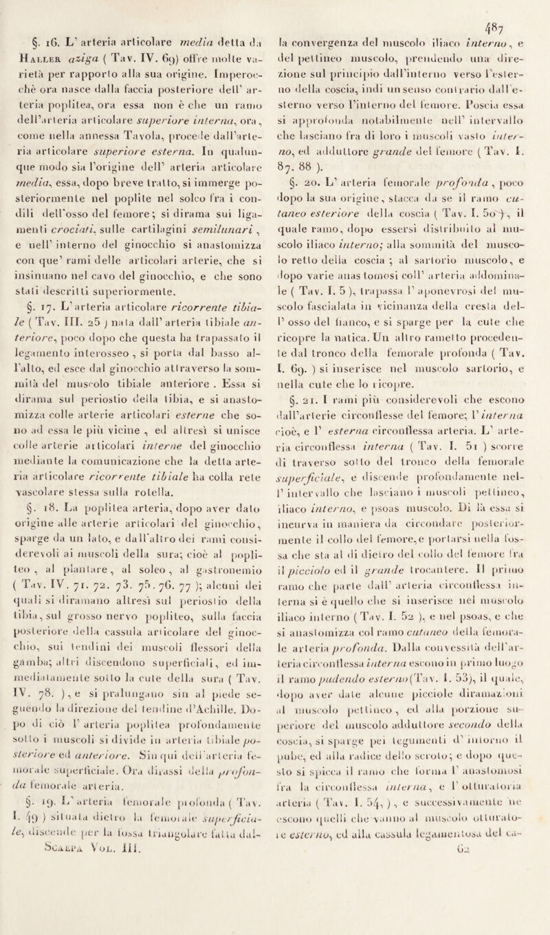 Haller aziga ( Tav. IV. 69) offre molte va¬ rietà per rapporto alla sua origine. Imperoc¬ ché ora nasce dalla faccia posteriore dell’ ar¬ teria poplitea, ora essa non è che un ramo dell’arteria articolare superiore interna, ora, come nella annessa Tavola, procede dall’arte¬ ria articolare superiore esterna. In qualun¬ que modo sia l’origine dell’ arteria articolare media, essa, dopo breve tratto, si immerge po¬ steriormente nel poplite nel solco fra i con¬ dili dell'osso del femore ; si dirama sui liga- nienti crociati, sulle cartilagini semilunari , e nell’ interno del ginocchio si anastomizza con que’ rami delle articolari arterie, che si insinuano nel cavo del ginocchio, e che sono stati descritti superiormente. §. 17. L’arteria articolare ricorrente tibia¬ le ( Tav. III. 25 ) nata dall’ arteria tibiale an¬ teriore, poco dopo che questa ha trapassato il legamento interosseo , si porla dal basso aJ- l'allo, ed esce dal ginocchio attraverso la som¬ mità del muscolo tibiale anteriore . Essa si dirama sul periostio della tibia, e si anasto¬ mizza colle arterie articolari esterne che so¬ no ad essa le più vicine , ed altresì si unisce colle arterie articolari interne del «inocchio o mediante la comunicazione che la detta arte¬ ria articolare ricorrente tibiale ha colla rete vascolare stessa sulla rotella, §. 18. La poplitea arteria, dopo aver dato origine alle arterie articolari del ginocchio, sparge da un lato, e dall altro dei rami consi¬ derevoli ai muscoli della sura; cioè al popli- teo , al piantare, al soleo, al gastronemio ( Tav. IV, 71. 72. 73. 75.76. 77 ); alcuni dei quali si diramano altresì sul periostio della tibia, sul grosso nervo popliteo, sulla faccia posteriore della cassida articolare del ginoc¬ chio, sui tendini dei muscoli flessori della gàmba; altri discendono superficiali, ed im¬ mediatamente sotto la cute della sura ( Tav. IV. 78. ),e si pralungano sin al piede se¬ guendo la direzione del tendine d’Achille. Do¬ po di ciò 1 arteria poplitea profondamente sotto i muscoli si divide in arteria tibiale po¬ steriore ed anteriore. Sin qui dell’arteria fe¬ morale superficiale. Ora dirassi della profon¬ da femorale arteria. §• 19. L’arteria femorale piofonda ( Tav. L 19 ) situala dietro la lemorale superficia¬ le., discende per la fossa triangolare fatta dai- SdAEi’A VoL, Ili. del pel ti neo muscolo, prendendo una dire¬ zione sul principio dall’interno verso l’ester¬ no della coscia, indi un senso contrario dali e- sterno verso l’interno del femore. Poscia essa si approfonda notabilmente nell’ intervallo che lasciano Ira di loro i muscoli vasto inter¬ no, ed adduttore grande del femore ( Tav. I. 87. 88 ). §. 20. L’arteria femorale profonda , poco dopo la sua origine, stacca da se il ramo cu¬ taneo esteriore della coscia ( Tav. I. So')-, il quale ramo, dopo essersi distribuito al mu¬ scolo iliaco interno; alia sommità del musco¬ lo retto delia coscia; al sartorio muscolo, e dopo varie alias tomosi coll’ arteria addomina¬ le ( Tav. I. 5 ), trapassa 1’ aponevrosi de! mu¬ scolo fascialata in vicinanza della cresta dei- fi osso del fianco, e si sparge per la cute che ricopre la 'natica. Un altro rametto proceden¬ te dal tronco della femorale profonda ( Tav. I. 69. ) si inserisce nel muscolo sartorio, e nella eute che lo ricopre. S. 21. I rami più considerevoli che escono dall’arlerie circonflesse del femore; V interna cioè, e 1’ esterna circonflessa arteria. L’ arte¬ ria circonflessa interna ( Tav. I. 5i ) scorre di traverso sotto del tronco della femorale superficiale, e discende profondamente nei- fi intervallo che lasciano i muscoli pettineo, iliaco interno, e psoas muscolo. Di là essa si incurva in maniera da circondare posterior¬ mente il collo del femore,e portarsi nella fos¬ sa che sta al di dietro del collo del temo-re Ira il picciolo ed il grande trocantere. Il primo ramo che parte dall’ arteria circonflessa in¬ terna si è quello che si inserisce nel muscolo iliaco interno ( Tav. L 52 ), e nel psoas, e che si anastomizza col ramo cutaneo della femora¬ le arteria profonda. Dalla convessità dell’ar¬ teria circonflessa interna escono in primo luogo il ramo pudendo esterno(Tav. I. 53), il quale, dopo aver date alcune picciole diramazioni al muscolo pel lineo, ed alia porzione su¬ periore del muscolo adduttore secondo della coscia, si sparge pei tegumenti d’intorno il pube, ed alla radice dello scroto; e dopo que¬ sto si spicca il ramo che torma fi anastomosi fra la circonflessa interna, e 1’ otturatoria arteria ( Tav. 1. 5/j., ), e successi vilmente ne escono quelli che vanno al muscolo otturato¬ le esterno, cd alla cassida legameutosa del cu- 62