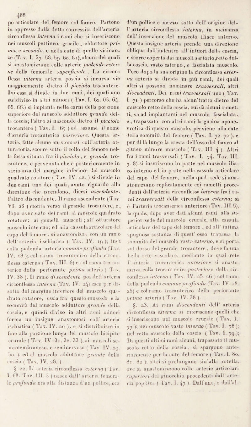 po articolare «lei femore col fianco. Partono in appresso dalla «letta convessità dell’arteria circonflessa interna i rami che si inseriscono nei muscoli pel lineo, gracile , addut tore pri¬ mo^ e secondo, e nella cute di quelle vicinan¬ ze (Tav. I. 5^. 58. 5(). 60. 61); alcuni dei (piali si anastomizzano colle arterie pudende ester¬ ne della femorale superficiale . La circon¬ flessa interna arteria poscia si incurva vie maggiormente dietro il picciolo trocantere. Ivi essa si divide in due rami, dei quali uno suddiviso in altri minori ( Tav. 1. G2. 63. 6.4. 65. 66.) si impianta nelle carni della porzione superiore del muscolo adduttore grande del¬ la coscia; l’altro si nasconde dietro il picciolo trocantere ( Tav. I. 67 ) ed assume il nome d arteria Irocanterica posteriore. Questa ar¬ teria, fatte alcune anastomosi coll’arteria ot¬ turatoria, seoi re sotto il collo del femore nel¬ la fossa situata fra il picciolo, e grande tro¬ cantere, e pervenuta che è posteriormente in vicinanza del margine inferiore del muscolo quadrato rota tote ( Tav. IV. 22. ) si divide in due rami uno dei quali, avuto riguardo alla direzione che prendono, dicesi ascendente, l’altro discendente. Il ramo ascendente (Tav. VI. 23 ) monta verso il grande trocantere, e, dopo aver,dato dei rami al muscolo quadrato rotatore; ai gemelli muscoli ; all’ otturatore muscolo interno; ed alla eà ssula articolare del capo del femore , si anastomizza con un ramo dell’arteria ischiatica ( Tav. IV. 19); indi eolia pudenda arteria comune profonda (Tav. IV, t8 ); col ramo trocanterico della circon¬ flessa esterna ( Tav. III. 6) e col ramo trocait¬ terico della perforante prima arteria ( Tav, IV 38 ). Il ramo di scendente poi dell’arteria circonflessa interna (Tav. IV. 24) esce per di¬ sotto del margine inferiore del muscolo qua¬ drato rotatore, ossia fra questo muscolo e la sommità del muscolo adduttore grande della coscia, e quindi diviso in altri rami minori forma un insigne anastomosi colf' arteria ischiatica ( Tav. IV. 20 ), e si distribuisce in fine alla porzione lunga del muscolo bicipite crurale ( Tav. IV. 3i. 3a. 33 ), ai muscoli se- roimembranoso, e seminervoso ( Tav IV 29 3o. ), ed al muscolo adduttore grande della coscia ( Tav. IV. 28. ) §. 22. L’ arteria circonflessa esterna ( Tav I. 68. Tav, Ili. 3 ) nasce dall’ arteria femora¬ le profonda osa alla distanza d’un pollice, ora d’un pollice e mezzo sotto dell’ origine del- ! arteria circonflessa interna, in vicinanza dell’ inserzione del muscolo iliaco interno. Questa insigne arteria prende una direzione obliqua dall’indentro all infuori della coscia, e scorre coperta dai muscoli sarlorio,retto del¬ la coscia, vasto esterno, e fascialata muscolo. Poco dopo la sua origine la circonflessa ester¬ na arteria si divide in più rami, dei quali altri si possono nominare trasversali, altri discendenti. Dei rami trasversali uno ( Tav. I 71 ) percorso che ha aleun’tratto dietro del muscolo retto della coscia, cui dà alcuni ramet¬ ti, va ad impiantarsi nel muscolo fascialata, e, trapassata con altri rami la guaina apone- vrotica di questo muscolo, perviene alla cute della sommità del femore ( Tav. I. 72. 72 ), e per di là lungo la cresta dell’osso del fianco al gluteo minore muscolo ( Tav. III. 4 )• Altri fra i rami trasversali ( Tav. I. 74. Tav. III. 7. 8) si inseriscono in parte nel muscolo ilia¬ co interno ed in parte nella cassida articolare del capo del femore; nella qua! sede si ana¬ stomizzano replicatamente coi rametti proce¬ denti dall’arteria circonflessa interna fra i ra¬ mi trasversali della circonflessa esterna; si è l’arteria Irocanterica anteriore (Tav. III.5), la quale, dopo aver dati alcuni rami alla su- perior sede del muscolo crurale, alia cassida articolare del capo del femore , ed all’ intima spugnosa sostanza di quest osso trapassa la sommità del muscolo vasto esterno, e si porta sul dorso del grande trocantere, dove fa una bella rete vascolare, mediante la qual rete 1’arteria Irocanterica anteriore si anaslo- mizza colla Irocant erica posteriore della cir¬ conflessa interna ( Tav. IV 25. 26 ) eoi ramo delia pudenda comune profonda (Tav. IV. 18 25) e eoi ramo trocanterico della perforante prima arteria ( Tav. IV. 38 ). §. 23. Ai rami discendenti dell’ arteria circonflessa esterna si riferiscono quelli che si inseriscono nel muscolo crurale ( Tav. I. 77 ); nei muscolo vasto interno ( Tav. I. 78 ); nel retto muscolo della coscia ( Tav. I. 79 ); Di questi ultimi rami alcuni, trapassato il mu¬ scolo retto della coscia , si spargono ante¬ riormente per Sa cute ilei femore ( Tav. I. 80. 81. 82 ); altri si prolungano sin’alla rotella, ove si anastomizzano colle arterie articolari superiori del ginocchio procedenti dall arte¬ ria popùlea ( Tav. I. 47 )• Dall’uno, o dcdi’al-